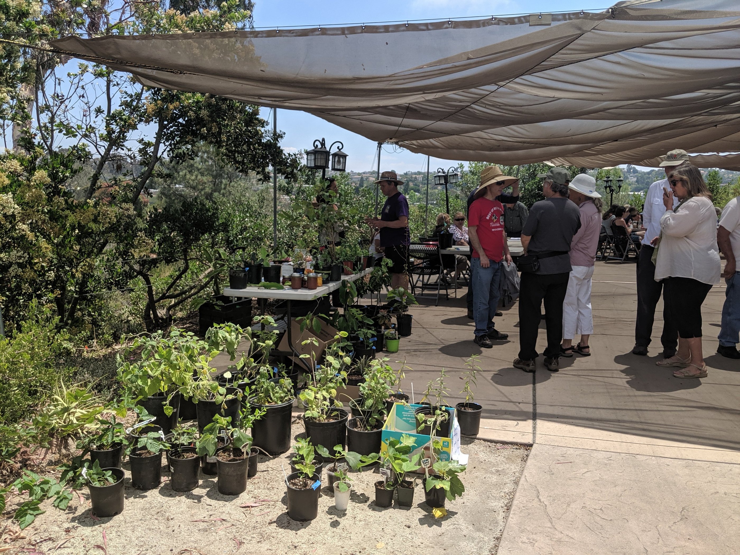 Plant sale with members talking in the background