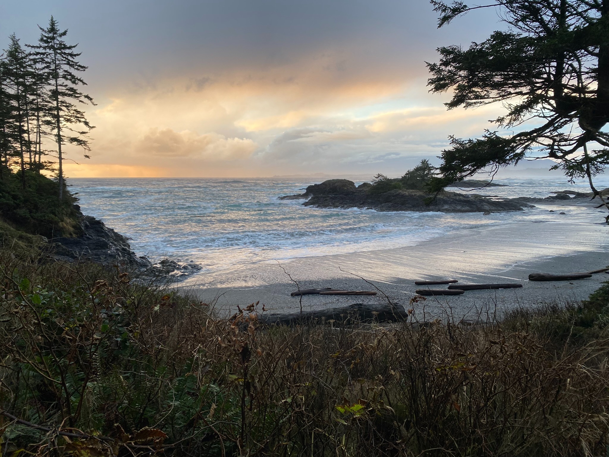 Scenic sunset view of a rugged Pacific Northwest beach with dramatic clouds, evergreen trees, and ocean waves.