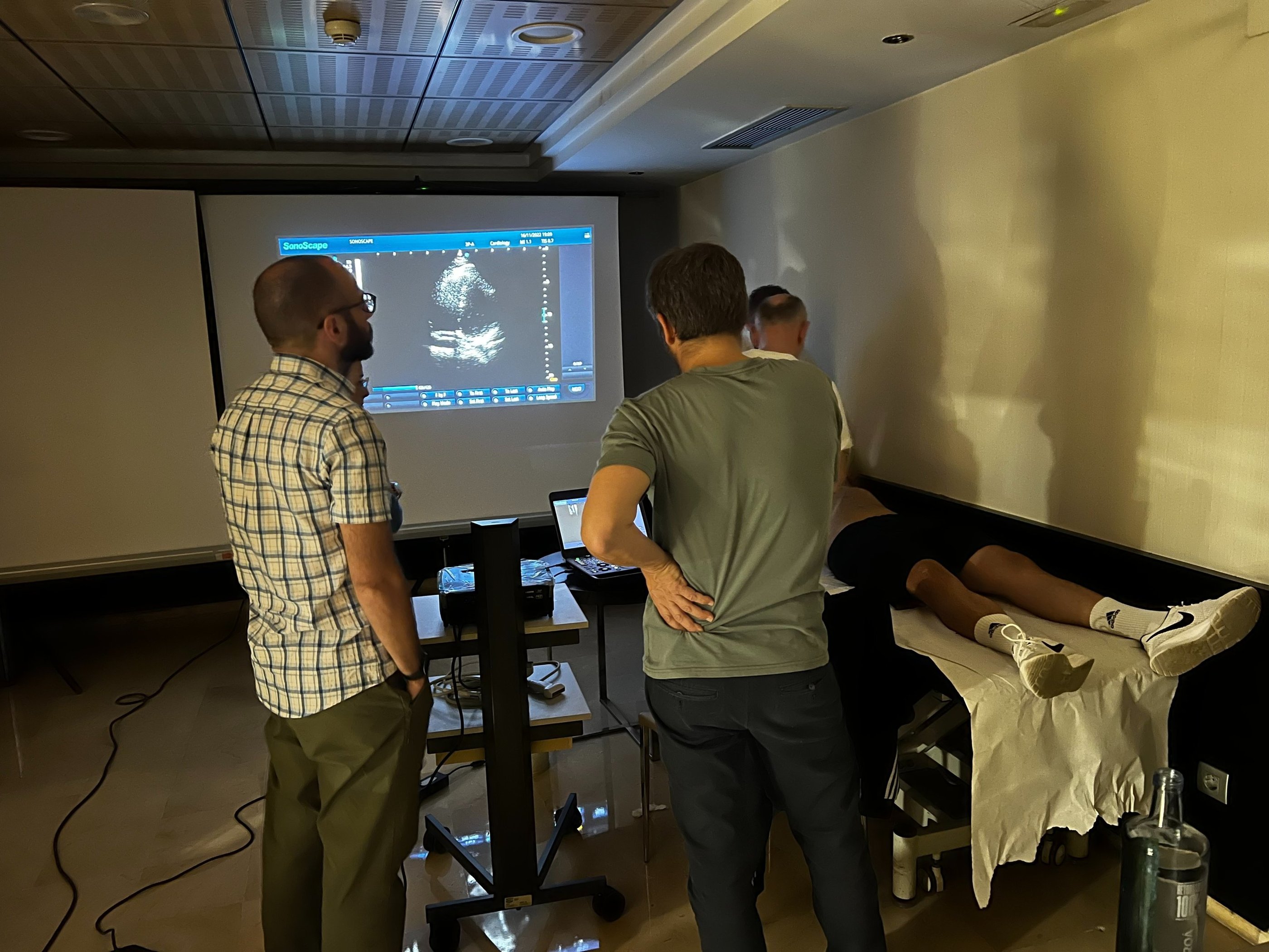 Taller de Ecografía de Urgencias. Búsqueda de las diferentes ventanas cardiacas básicas