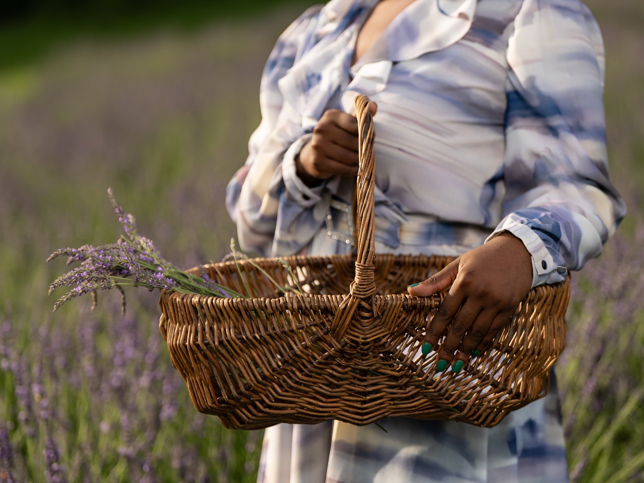 B4278 dress pattern tiracooks