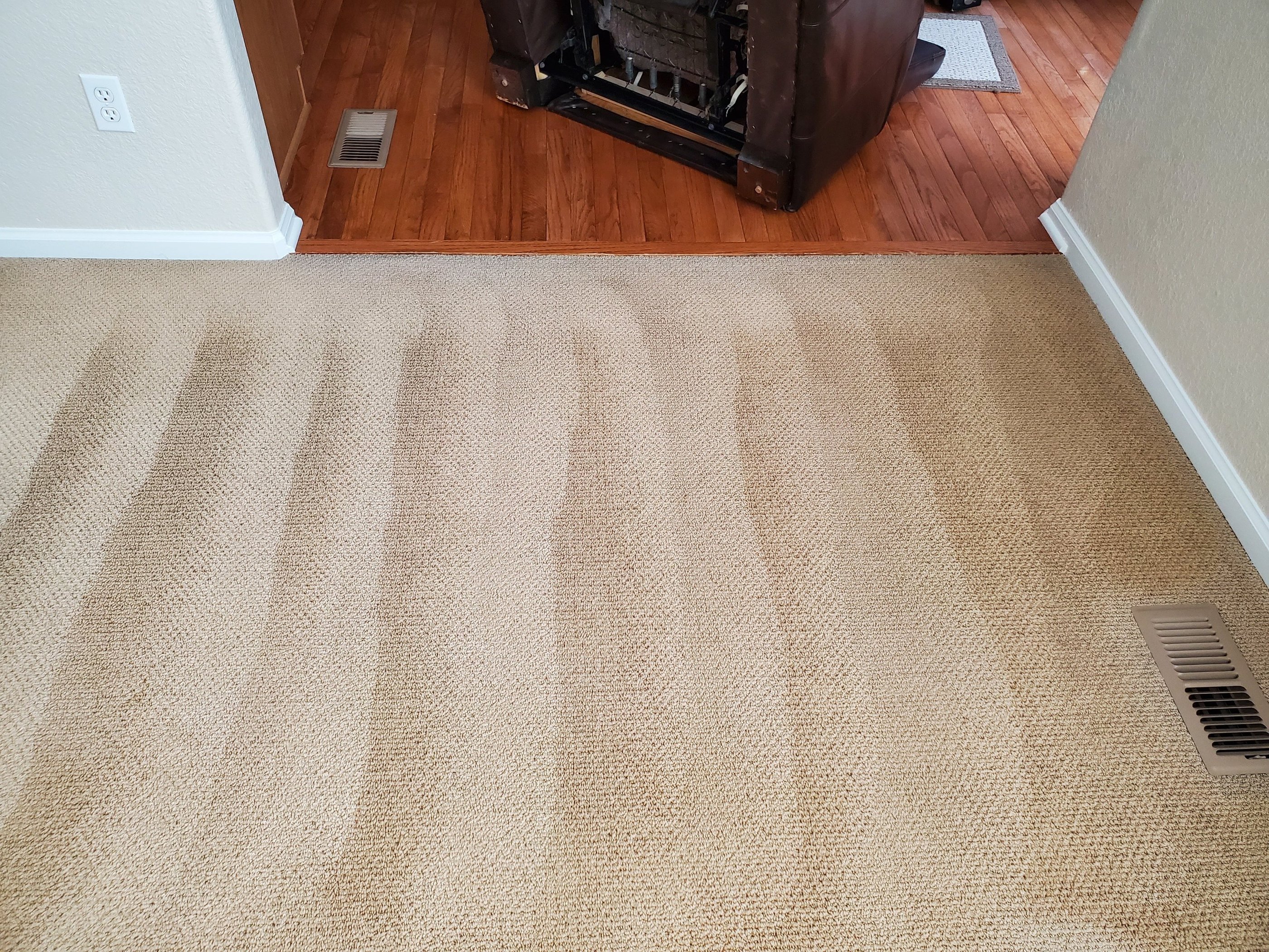 Beautiful Freshly Cleaned Carpet when using King Organic Clean