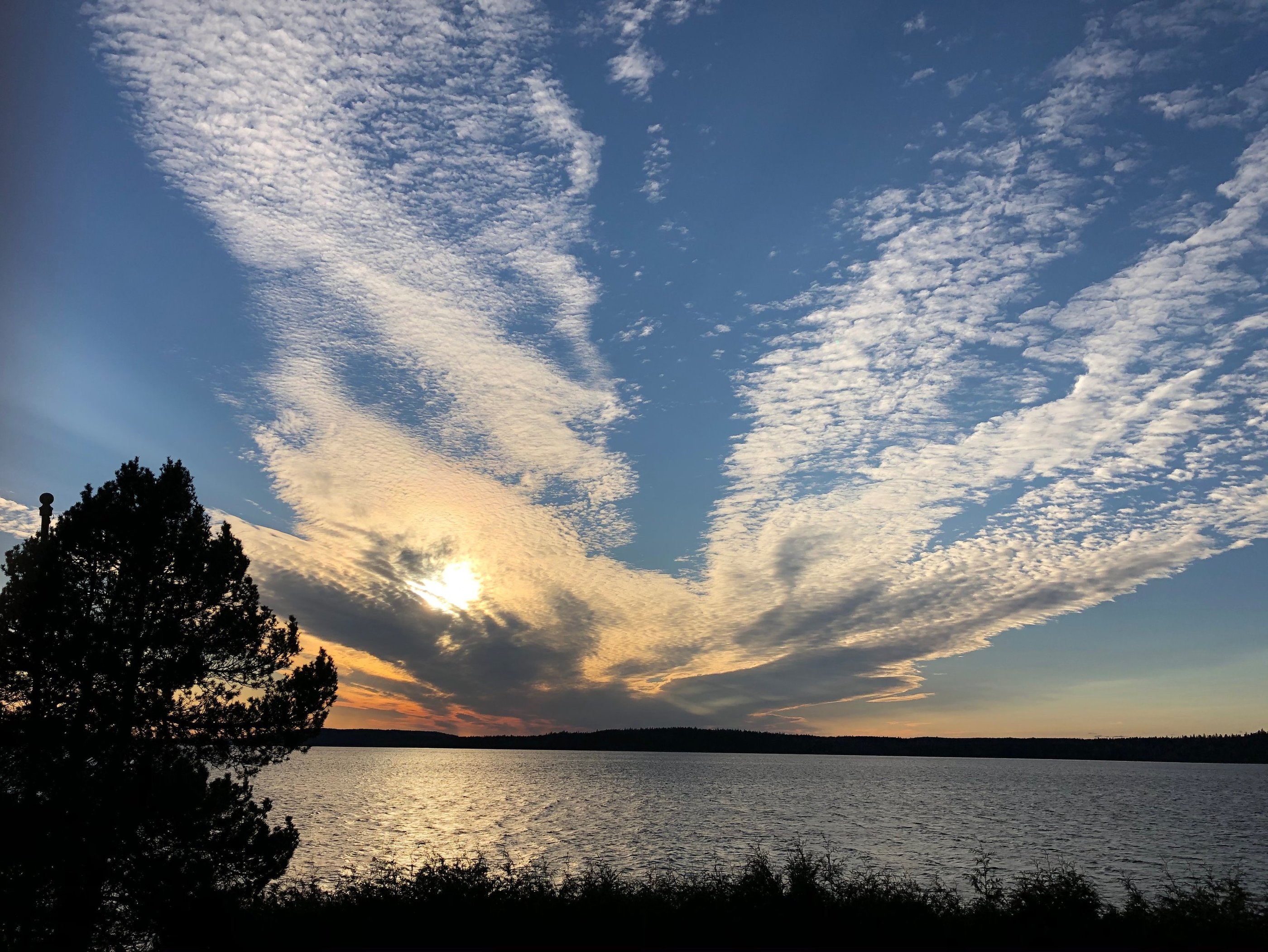 Wu Shen, Geistwesen der Chinesischen Medizin, Shen