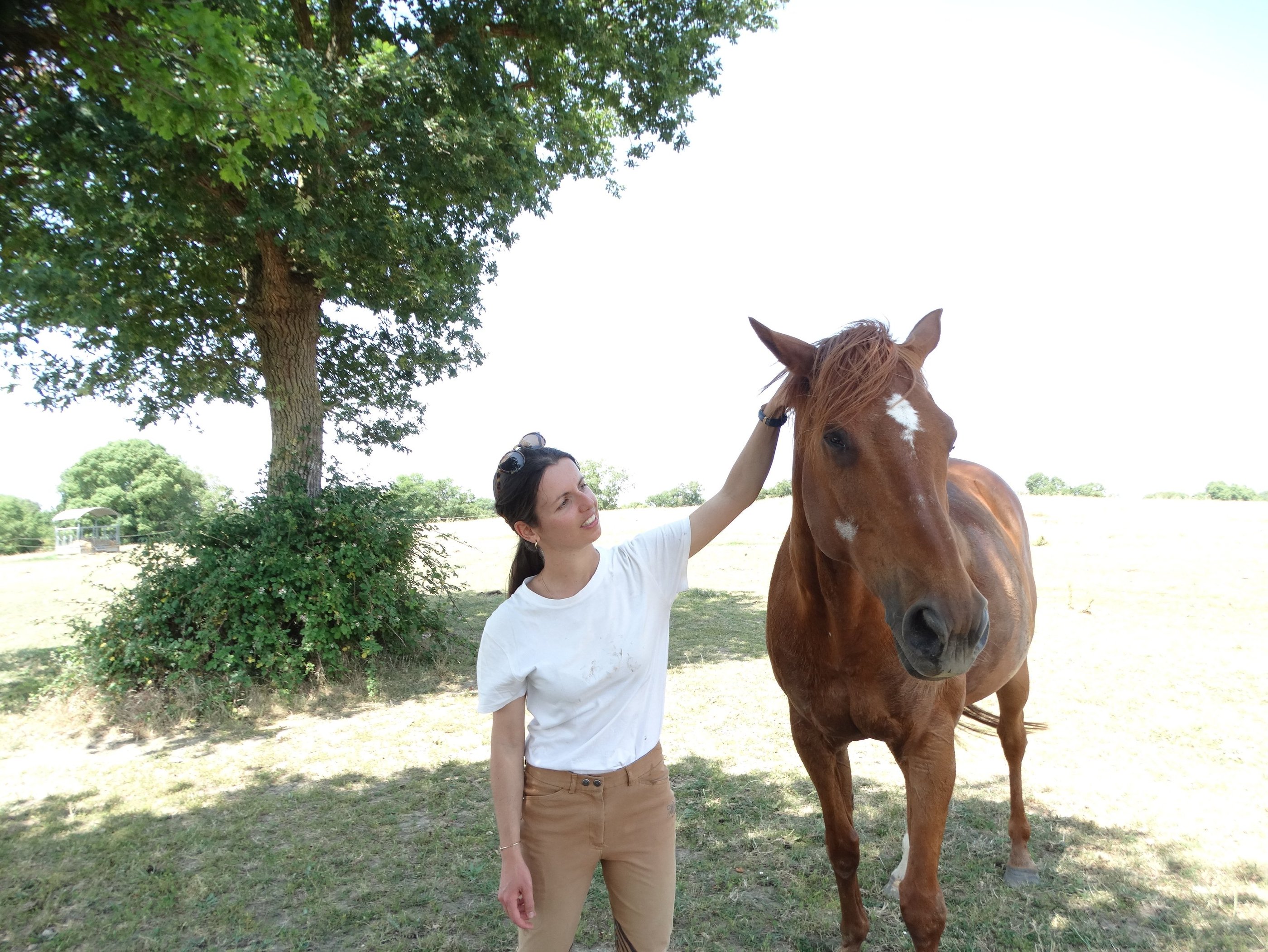 Equithérapeut caressant un cheval