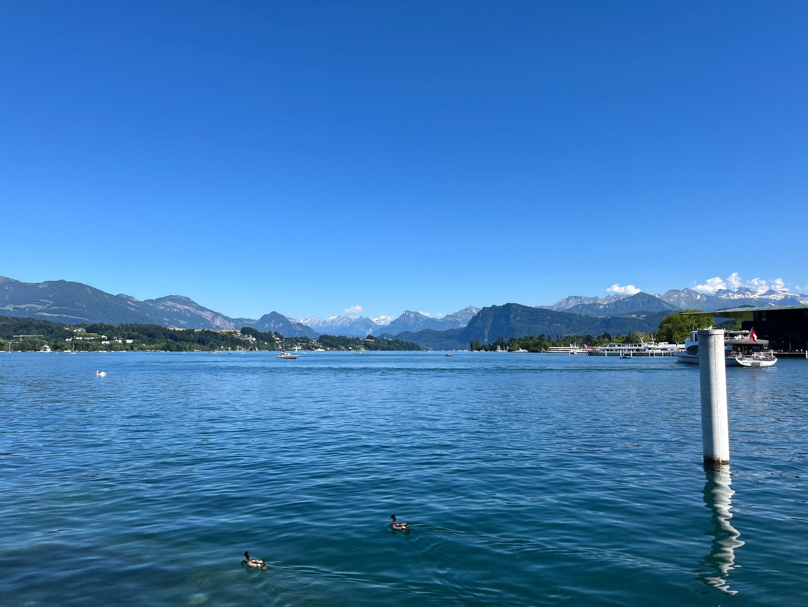 The view of the Alps from Nationalquai