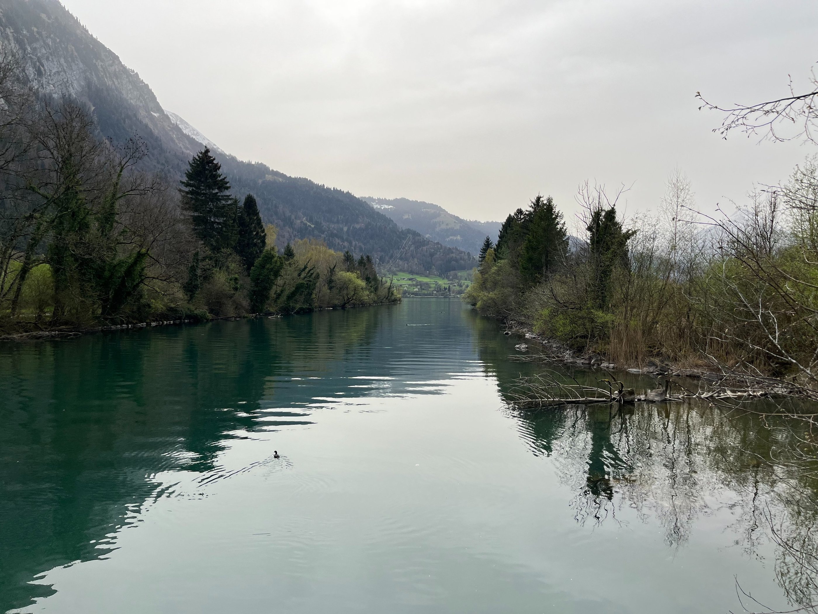 Looking down the Aare River at Lake Thun