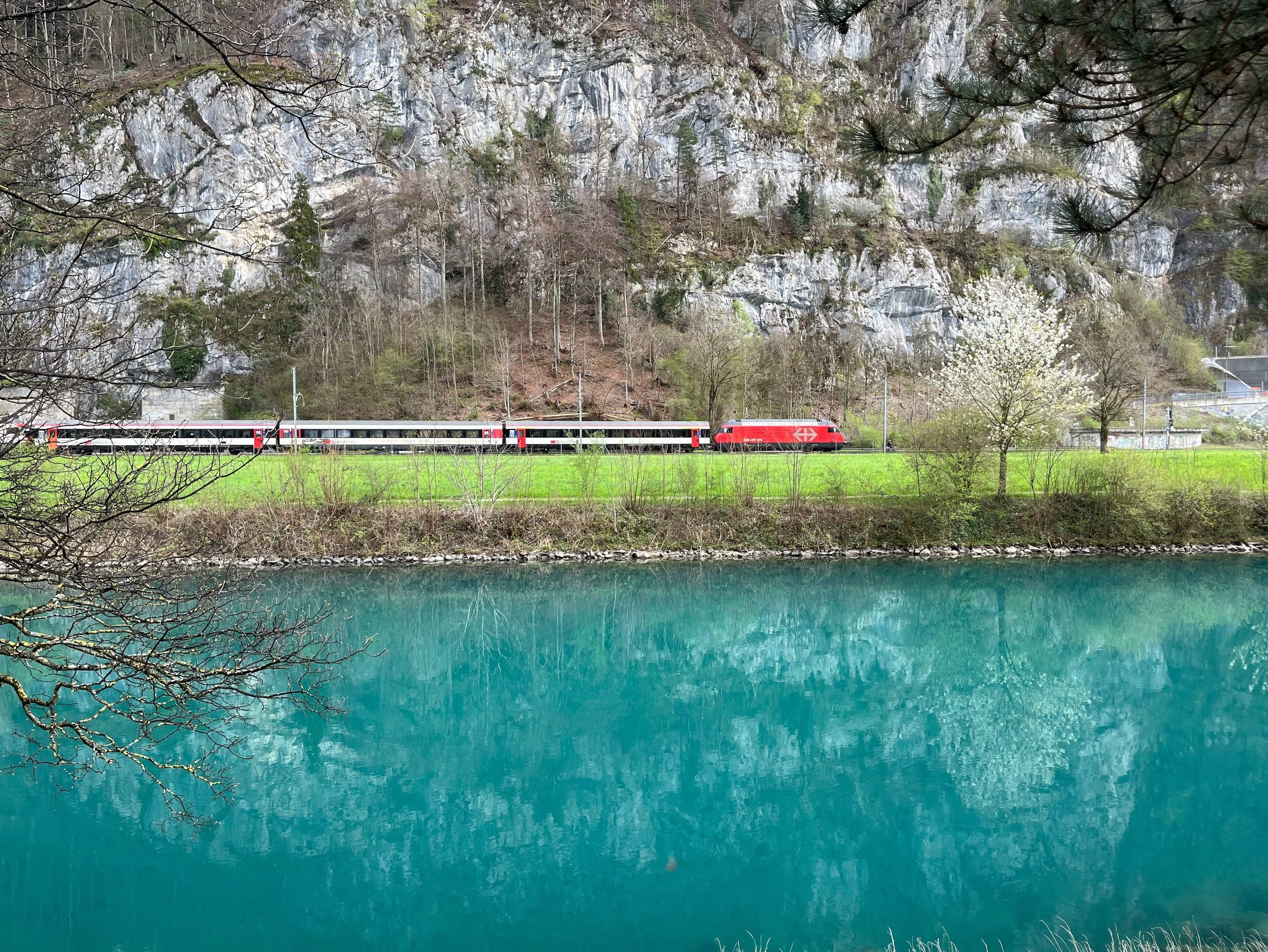 View looking across the Interlaken Ship Canal at a passenger train going by.