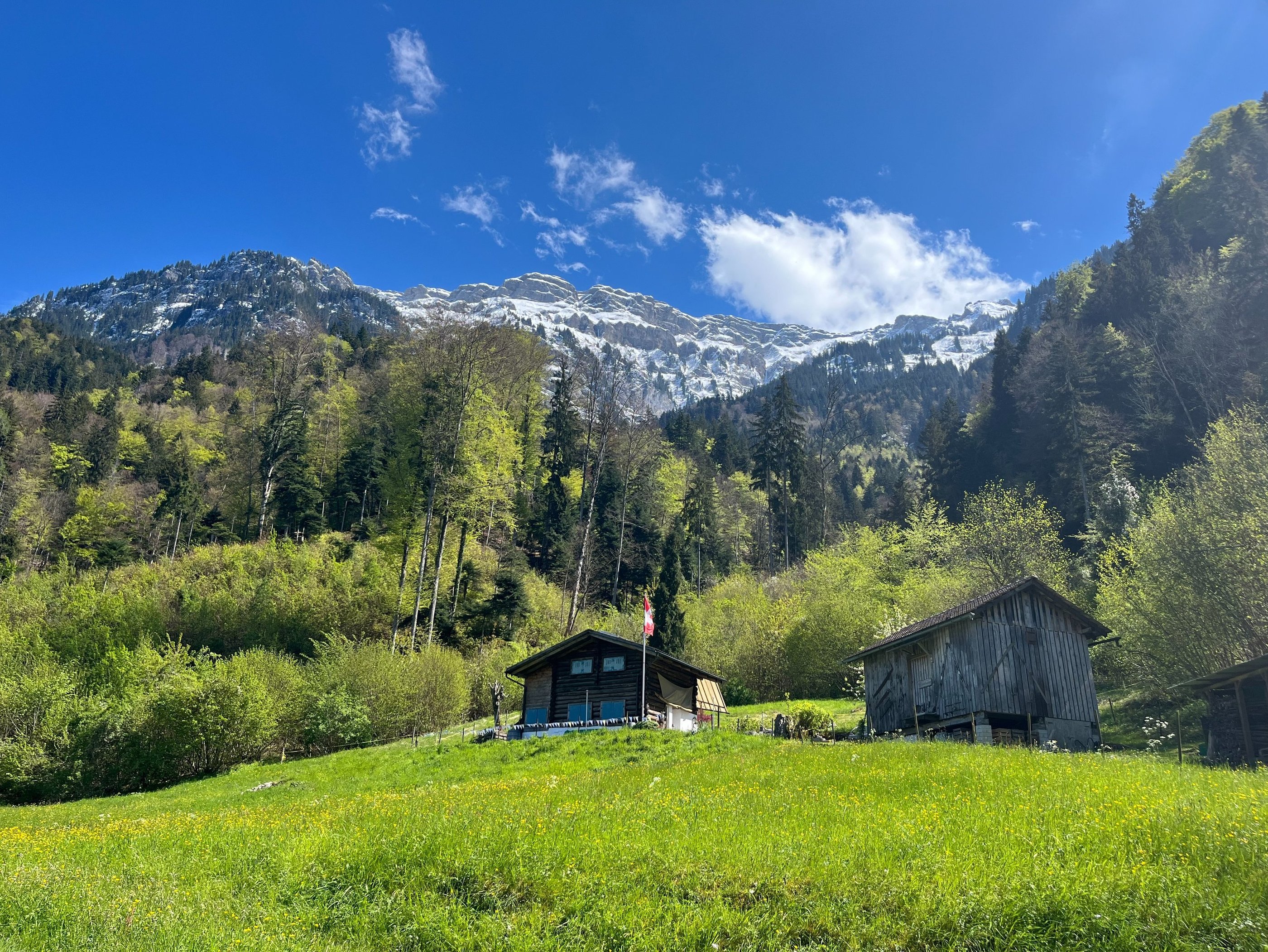 A view into the mountains above Bönigen Switzerland