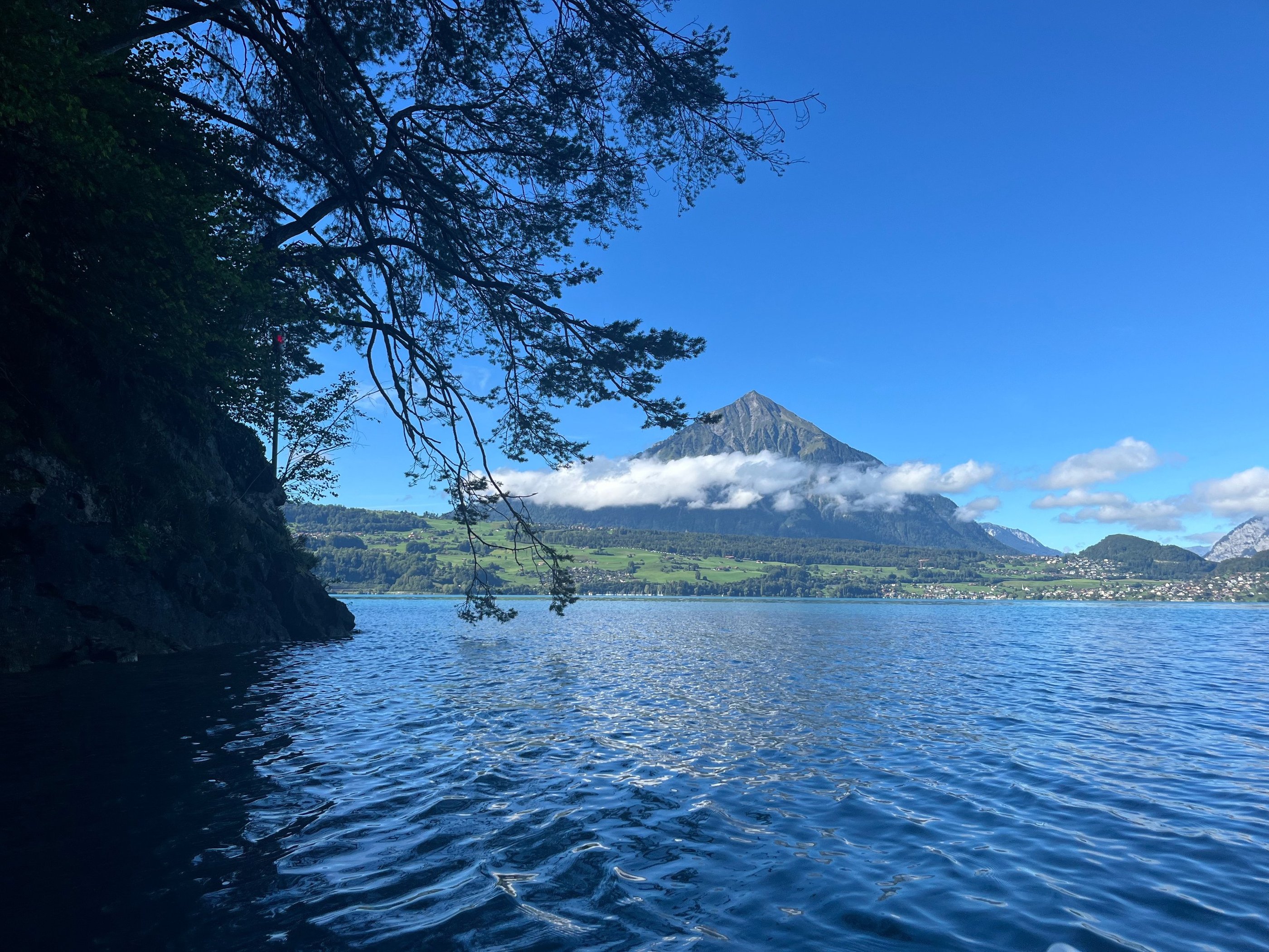 Niesen from the Nastel Nature Reserve on Lake Thun