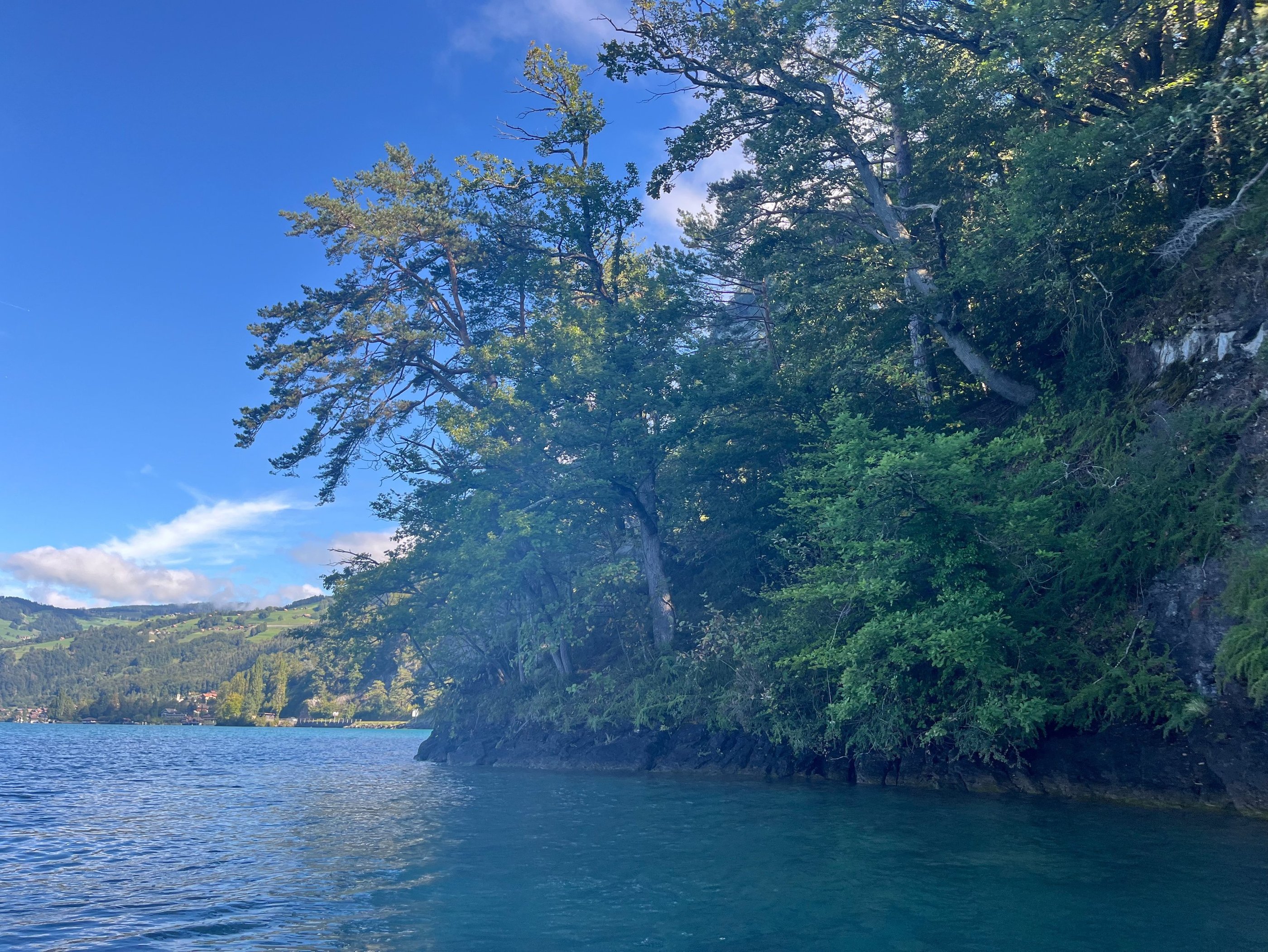 The Nastel Nature Reserve on Lake Thun