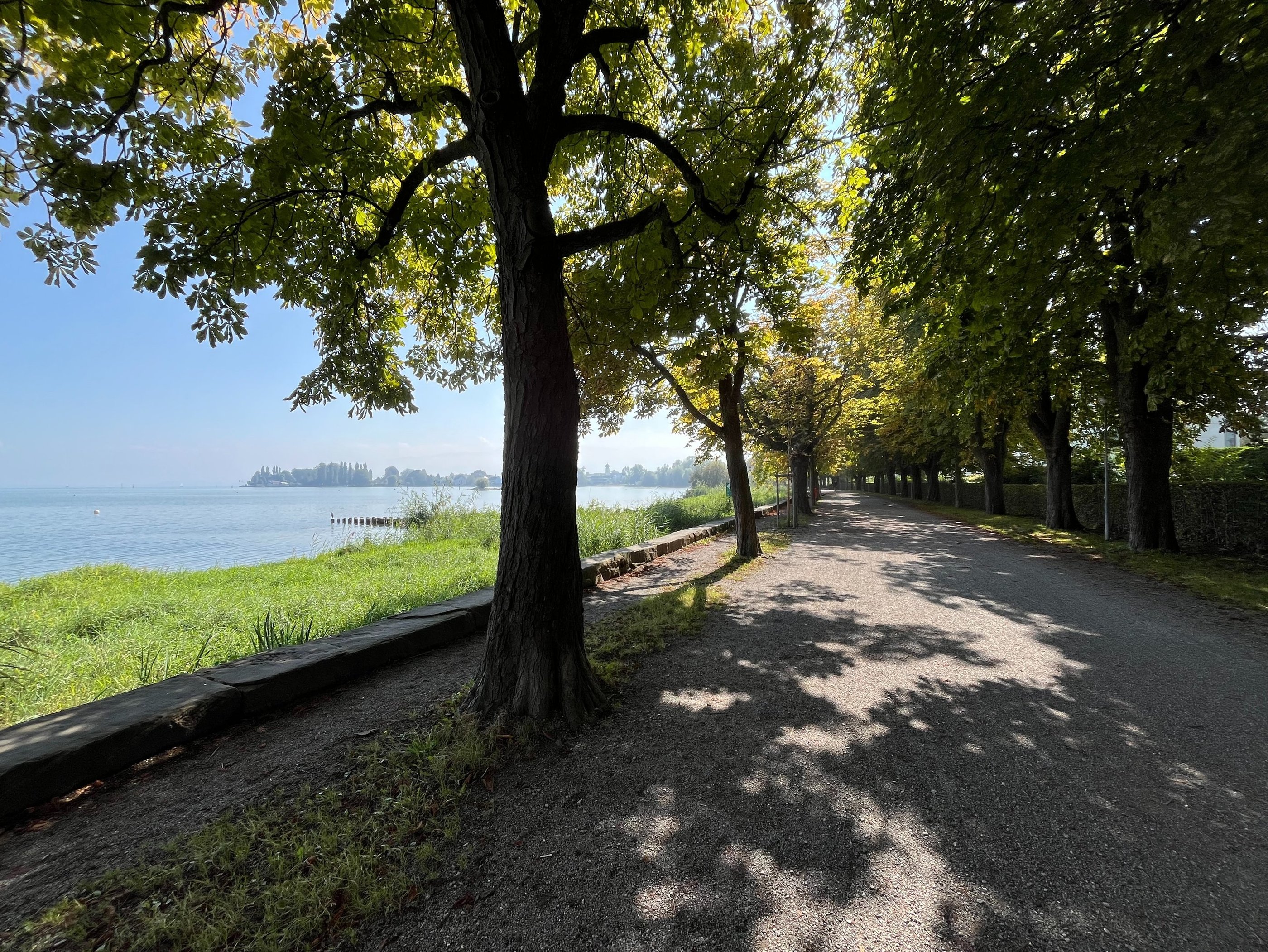 Views from the Arbon waterfront