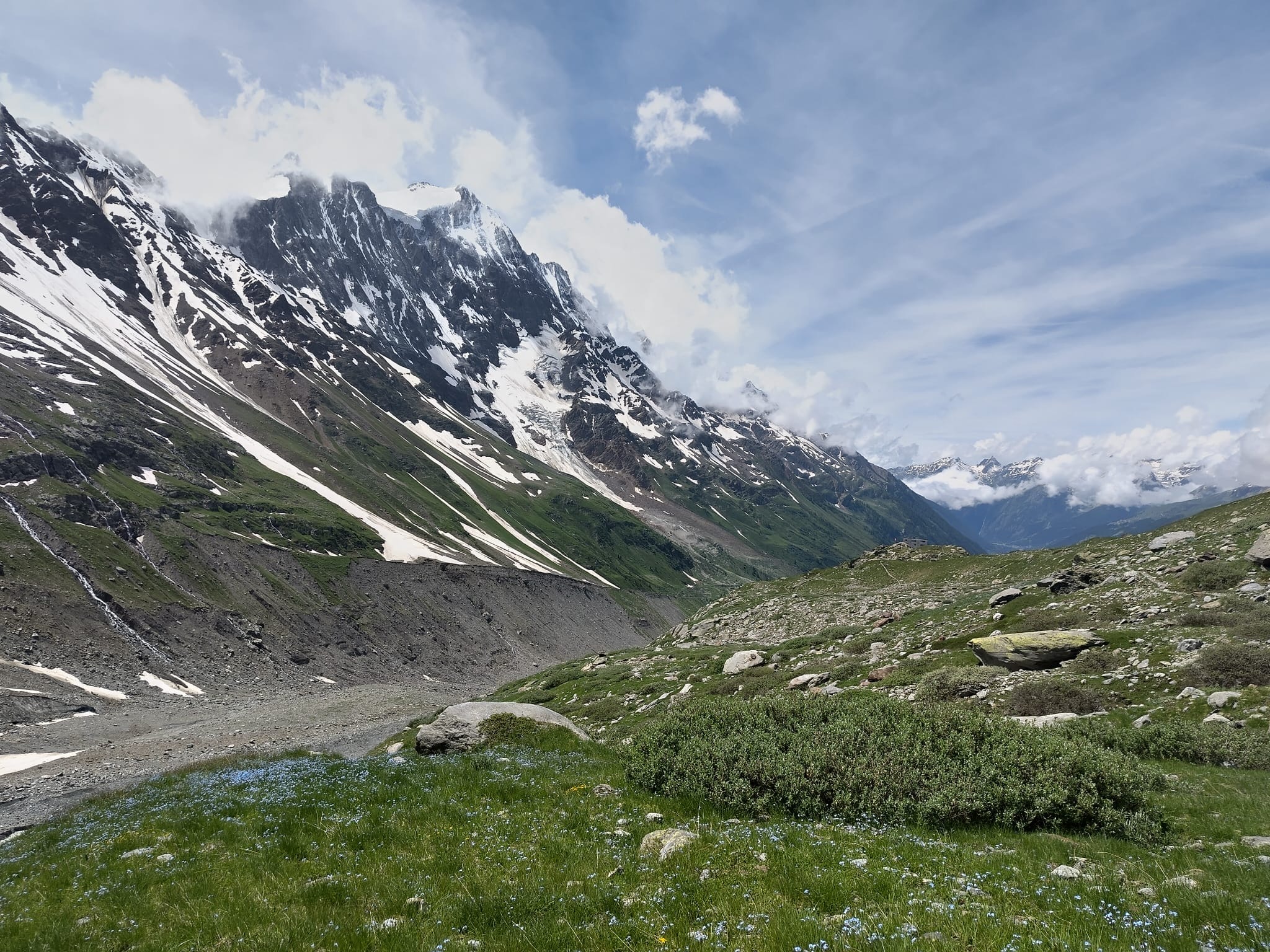 Wildflowers abound in the Lötschental