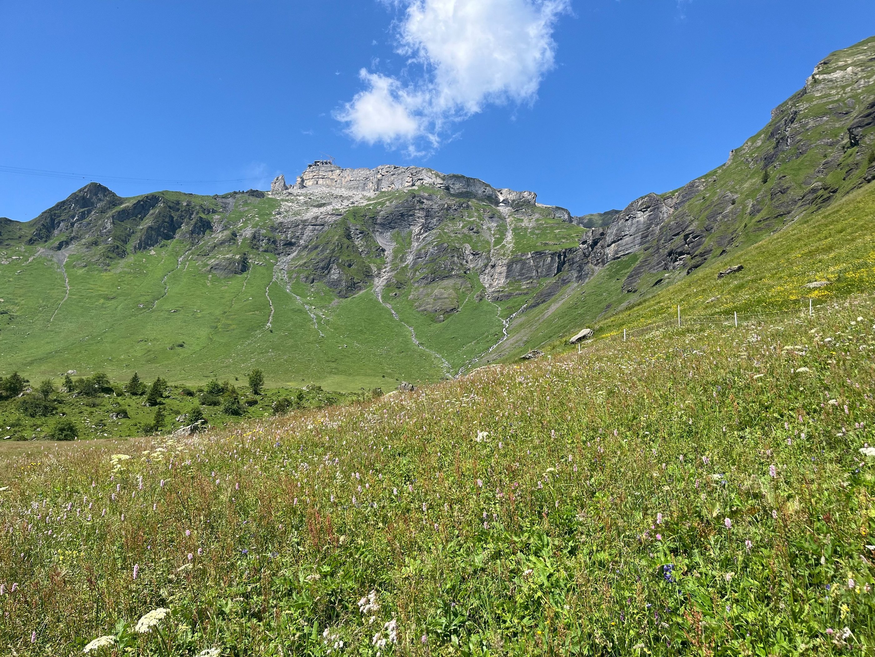 Looking up at Birg on the Schilthornbahn