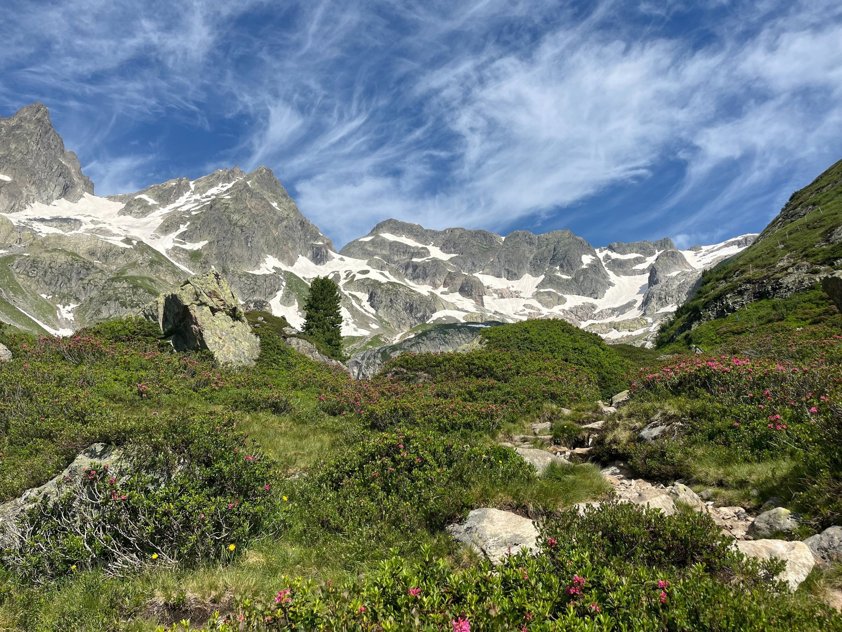 The mountains above Sustenbrüggli