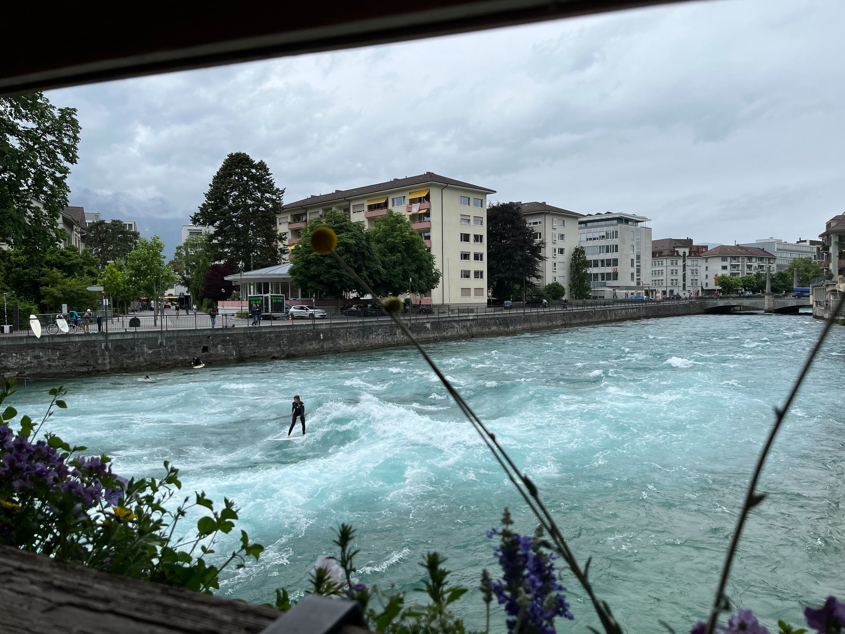 Surfers on the Aare River in Thun Switzerland