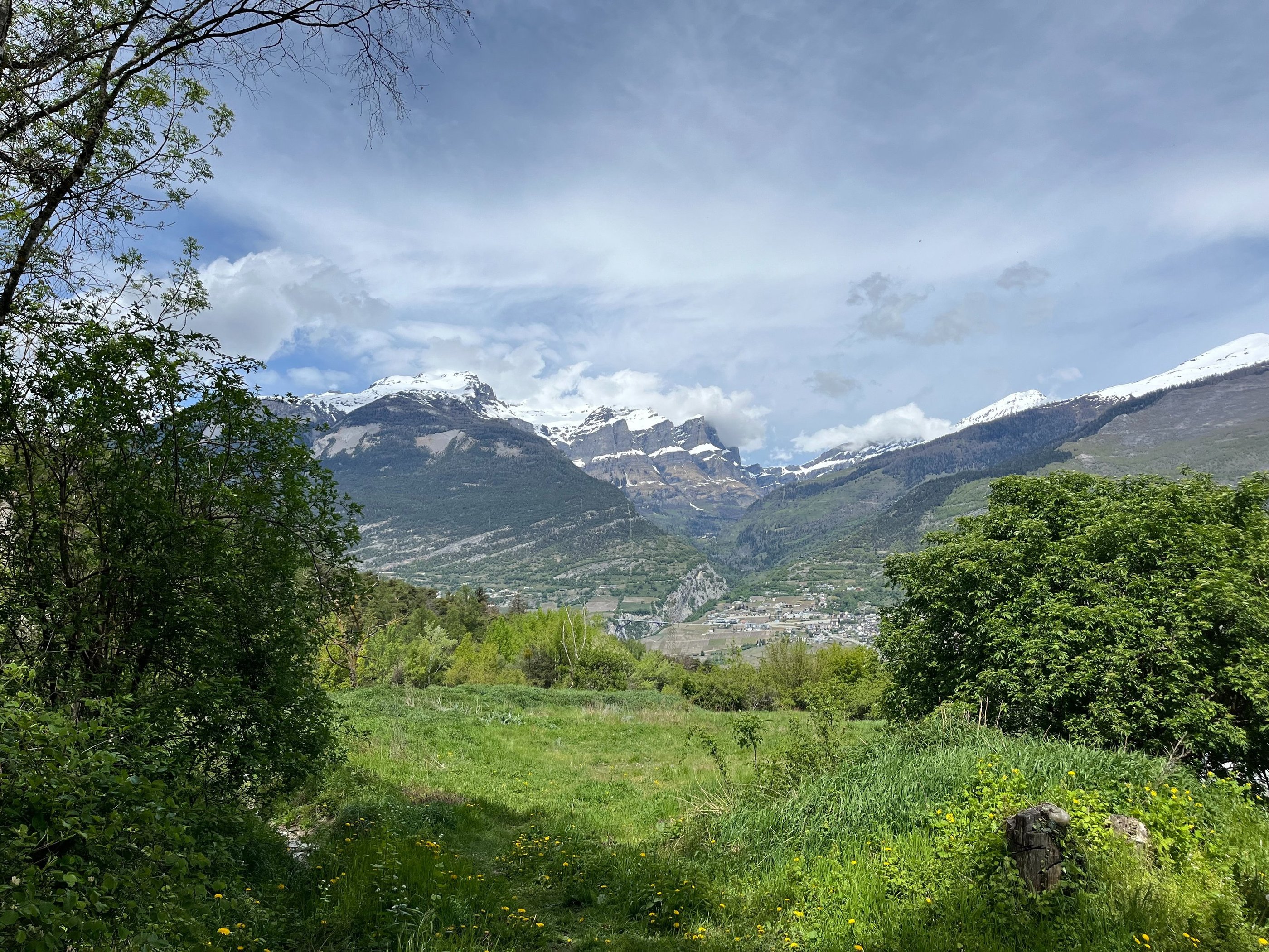 View of Leuk, the Dala Gorge, and Gemmi Pass from the Pfynwald in Switzerland's Canton of Valais