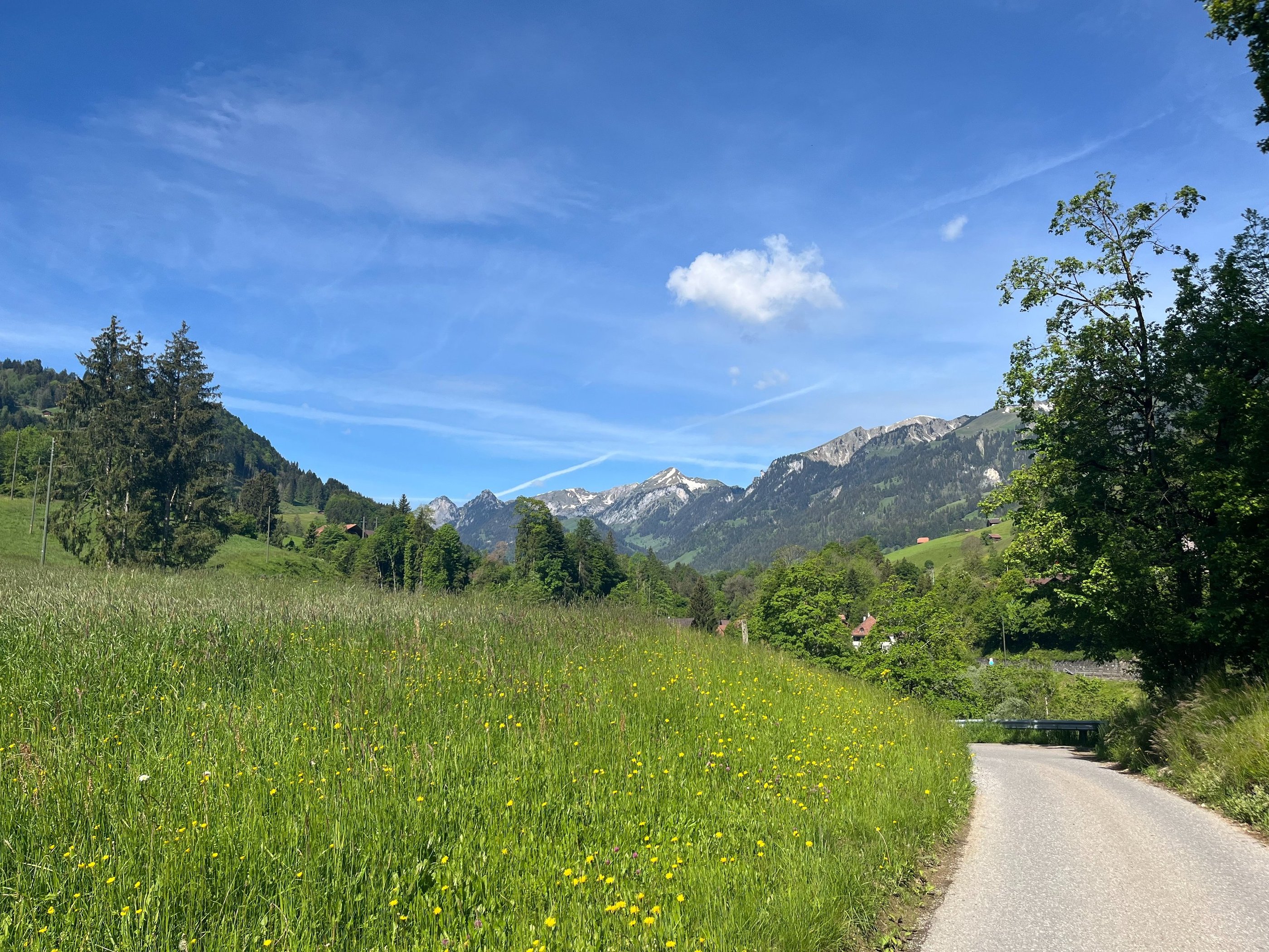 The path of the Simmentaler Hausweg
