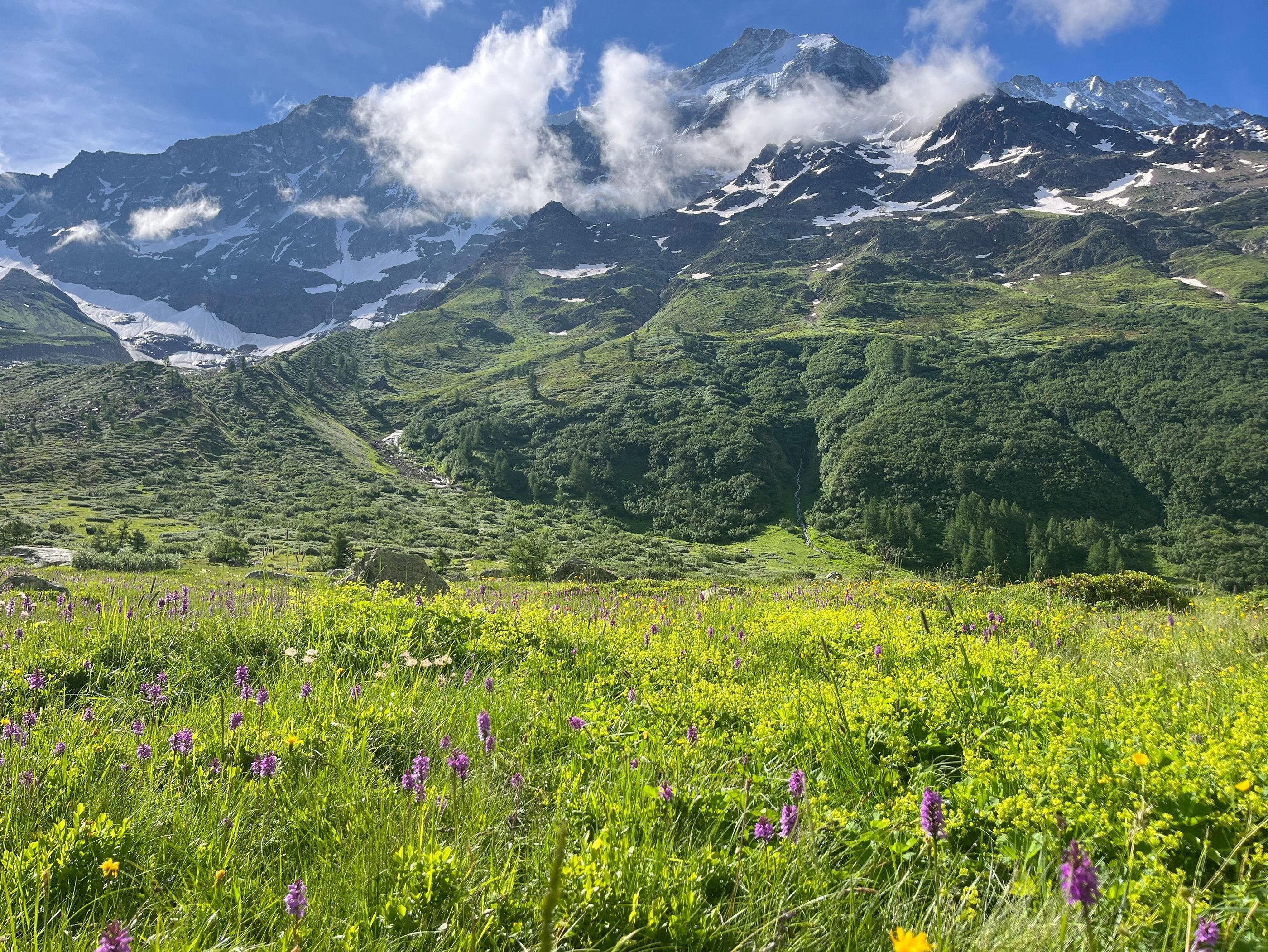 The glacial foreland landscape of the Lötschental