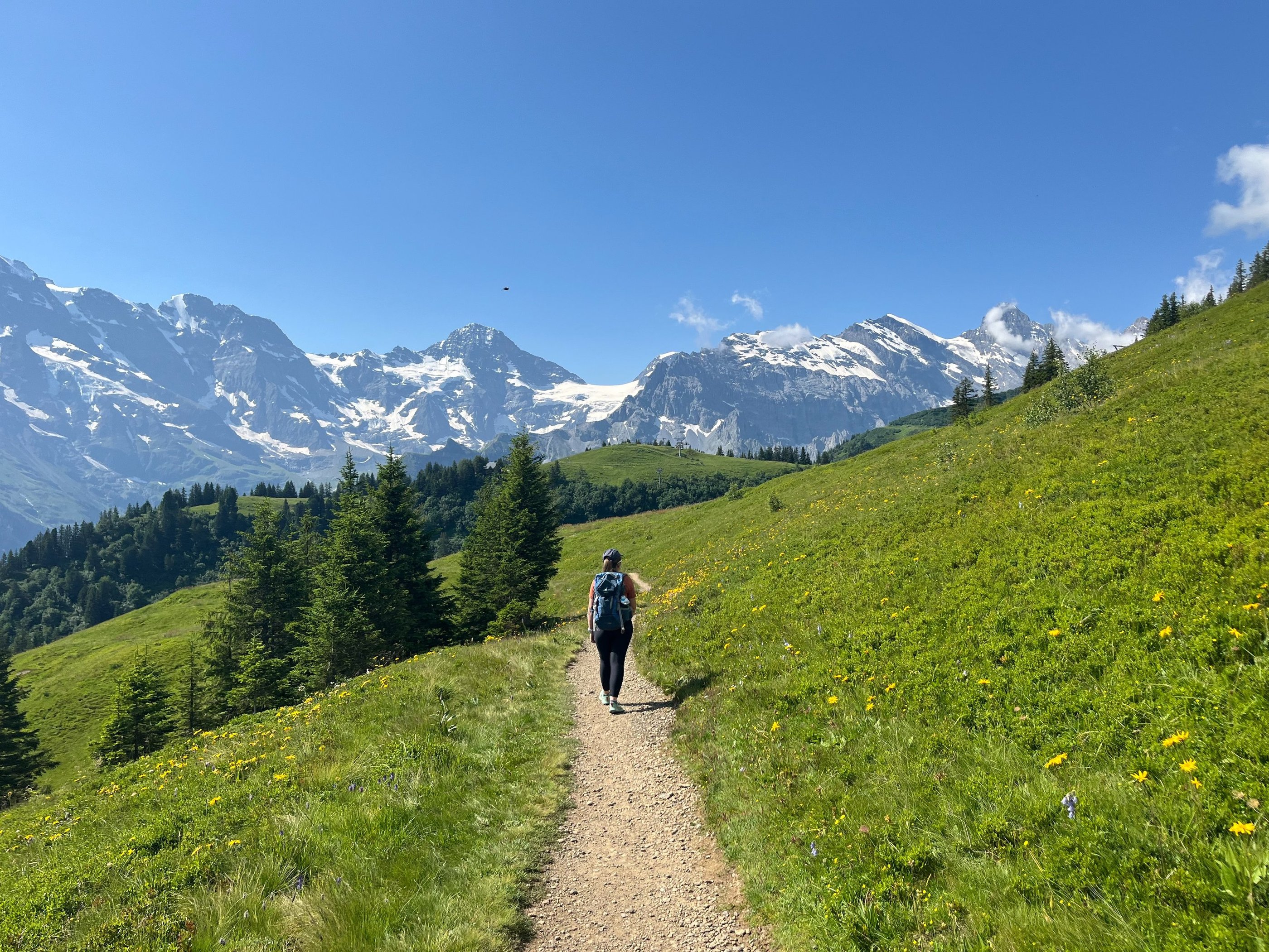 Lovely views from the Mountain View Trail in Mürren