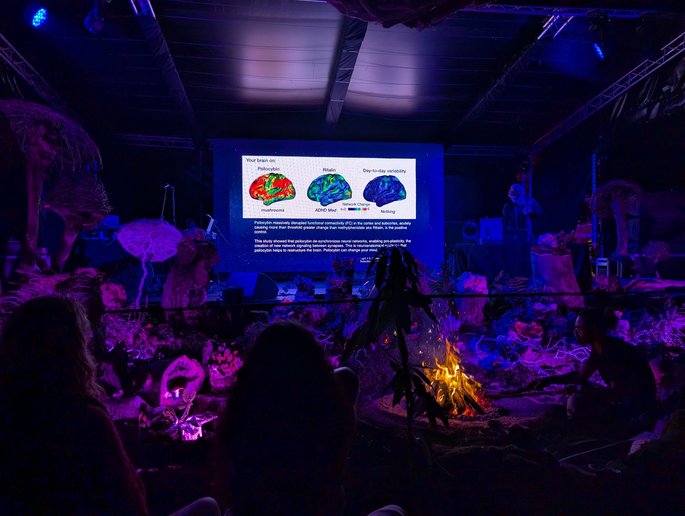 A presentation screen shows brain scans comparing psilocybin and Ritalin effects at an immersive event with a campfire.