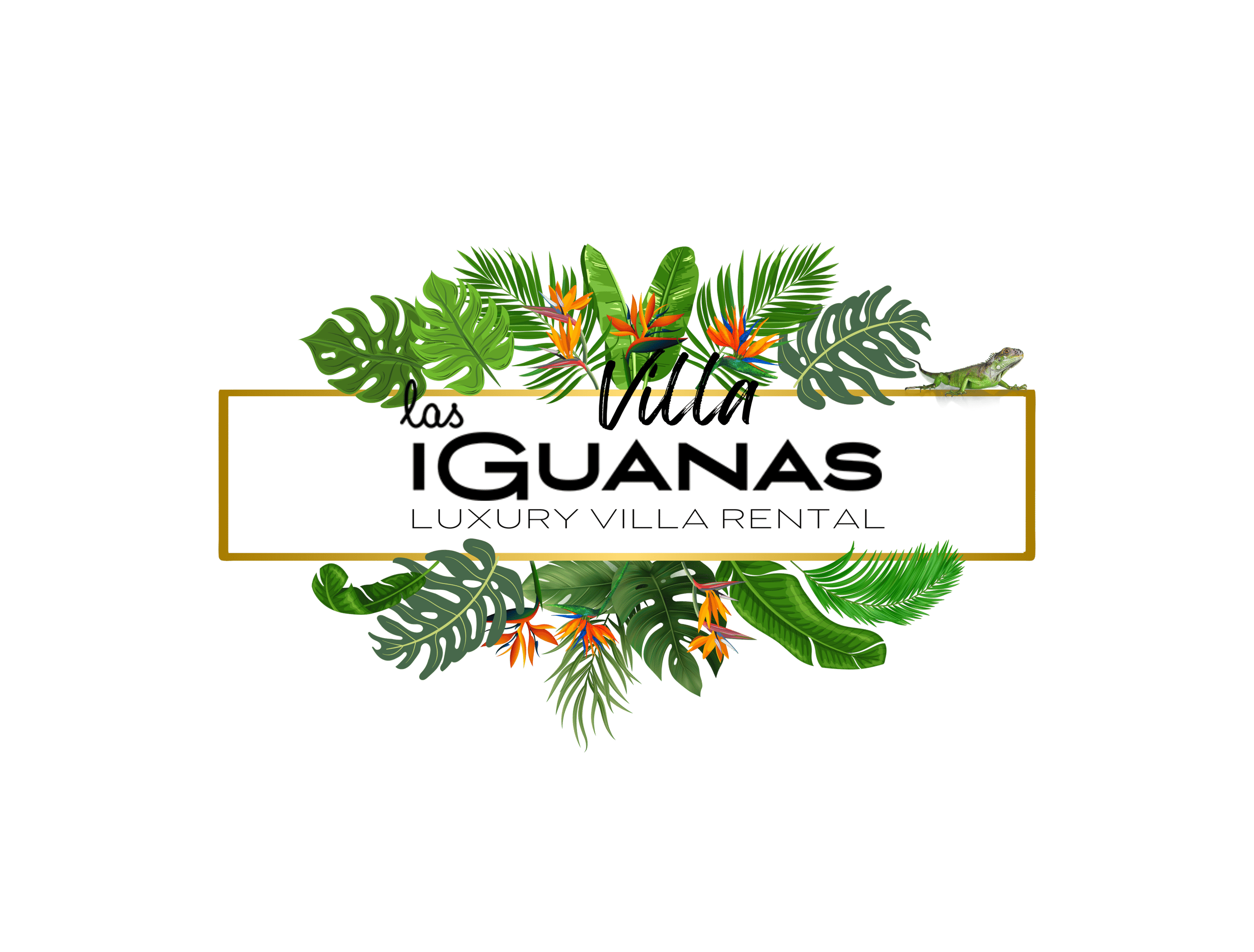 floral banner displaying brand name villa las iguanas