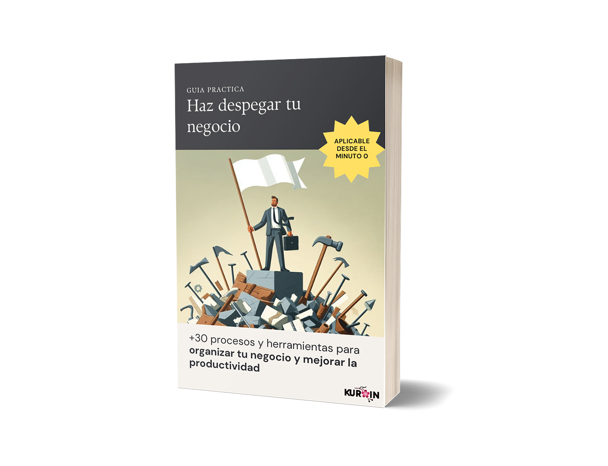 guía practica gratuita para ordenar tu negocio