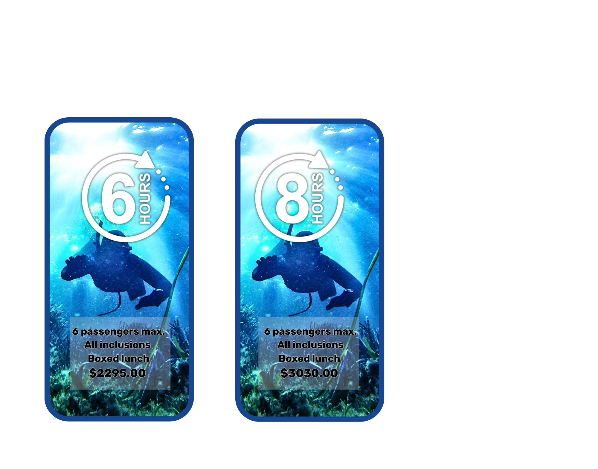 spearfishing book now  graphic