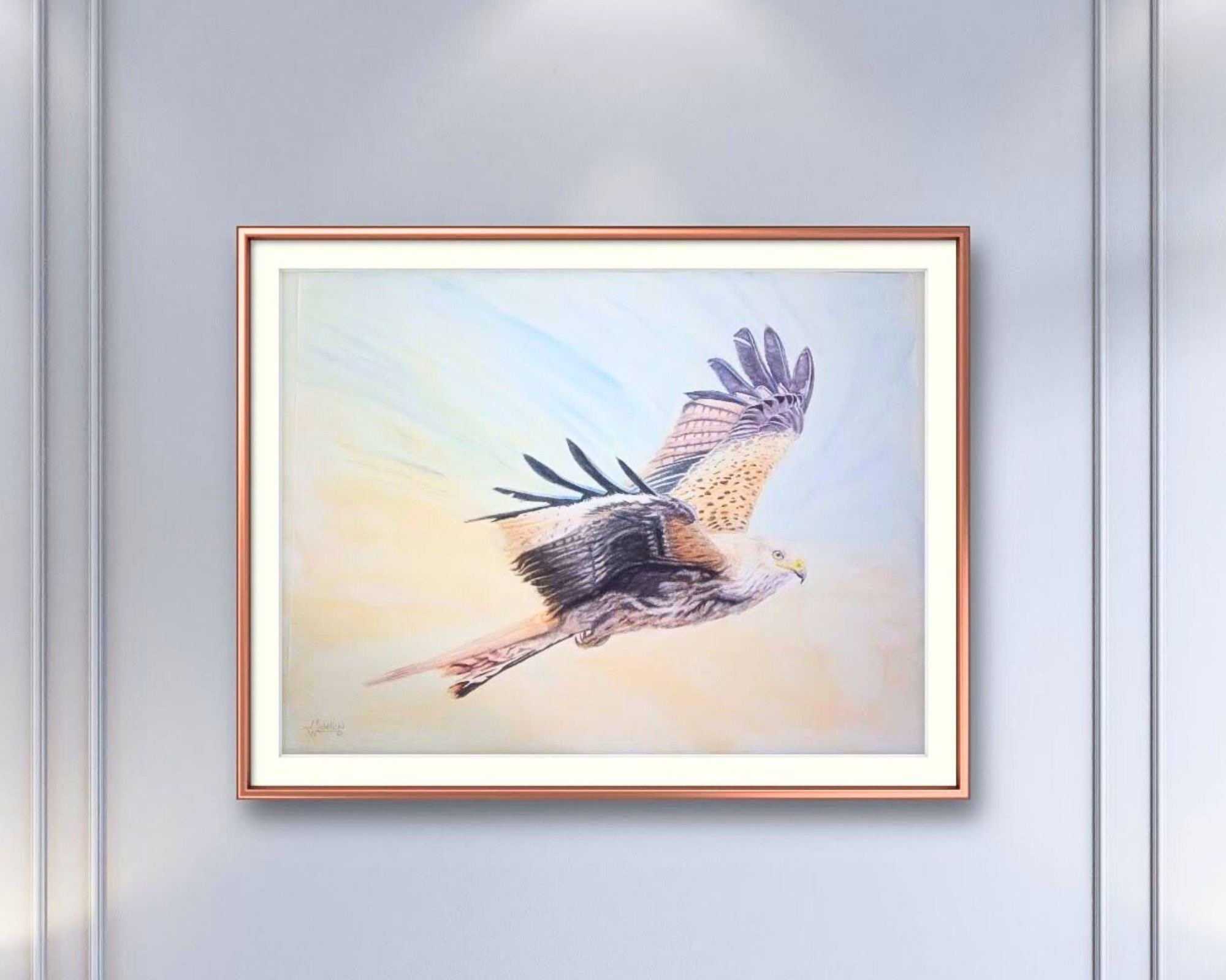 Red Kite in Flight Original Artwork