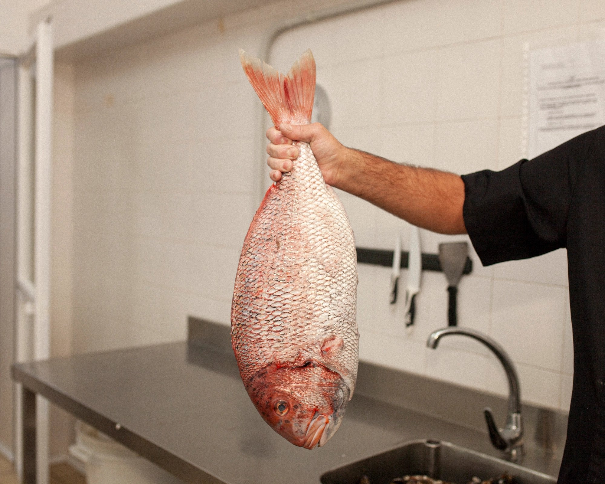 Pescado fresco para disfrutar entre amigos de un suculento plato de gastronomía de primer nivel    