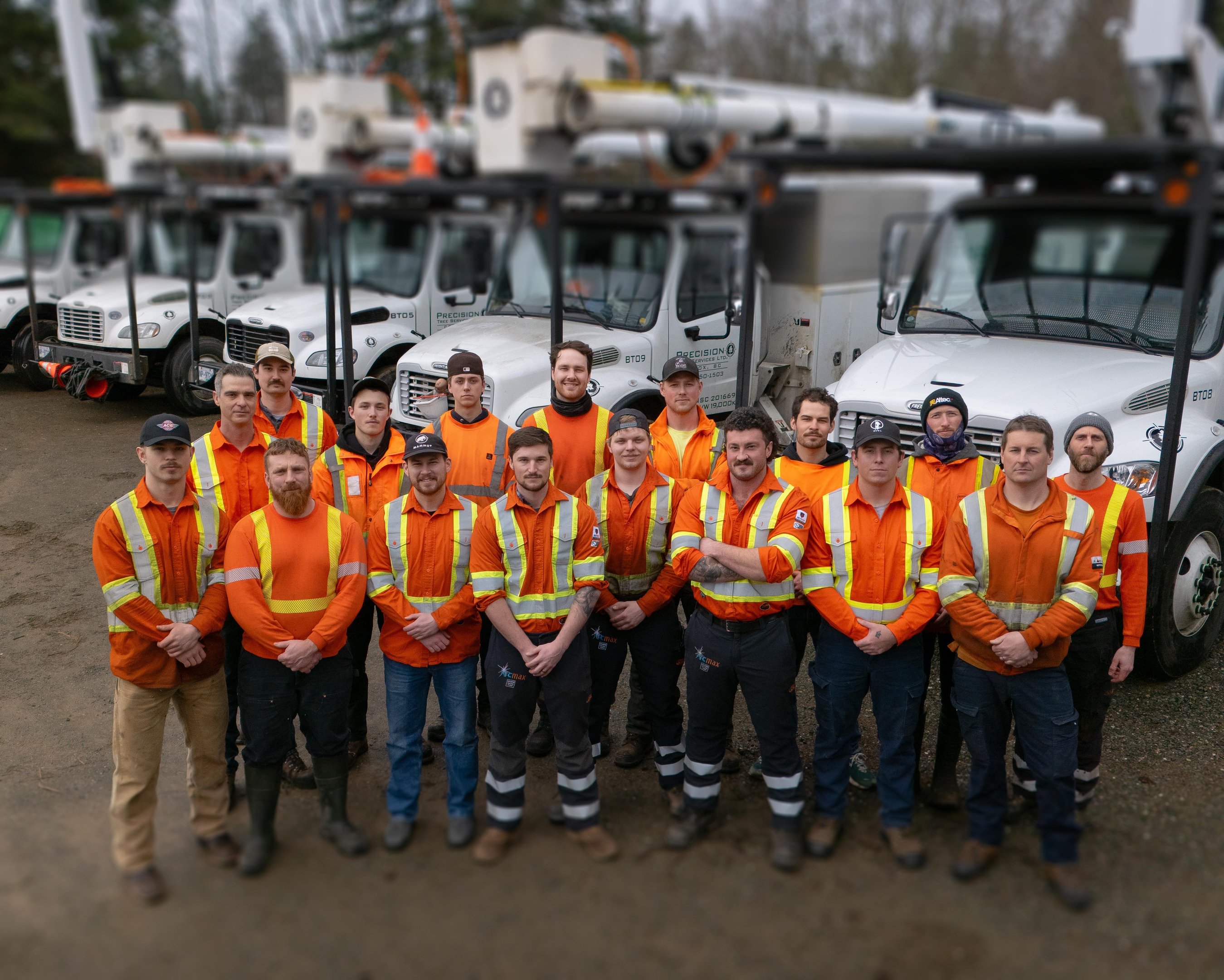About Precision Tree Services Ltd.