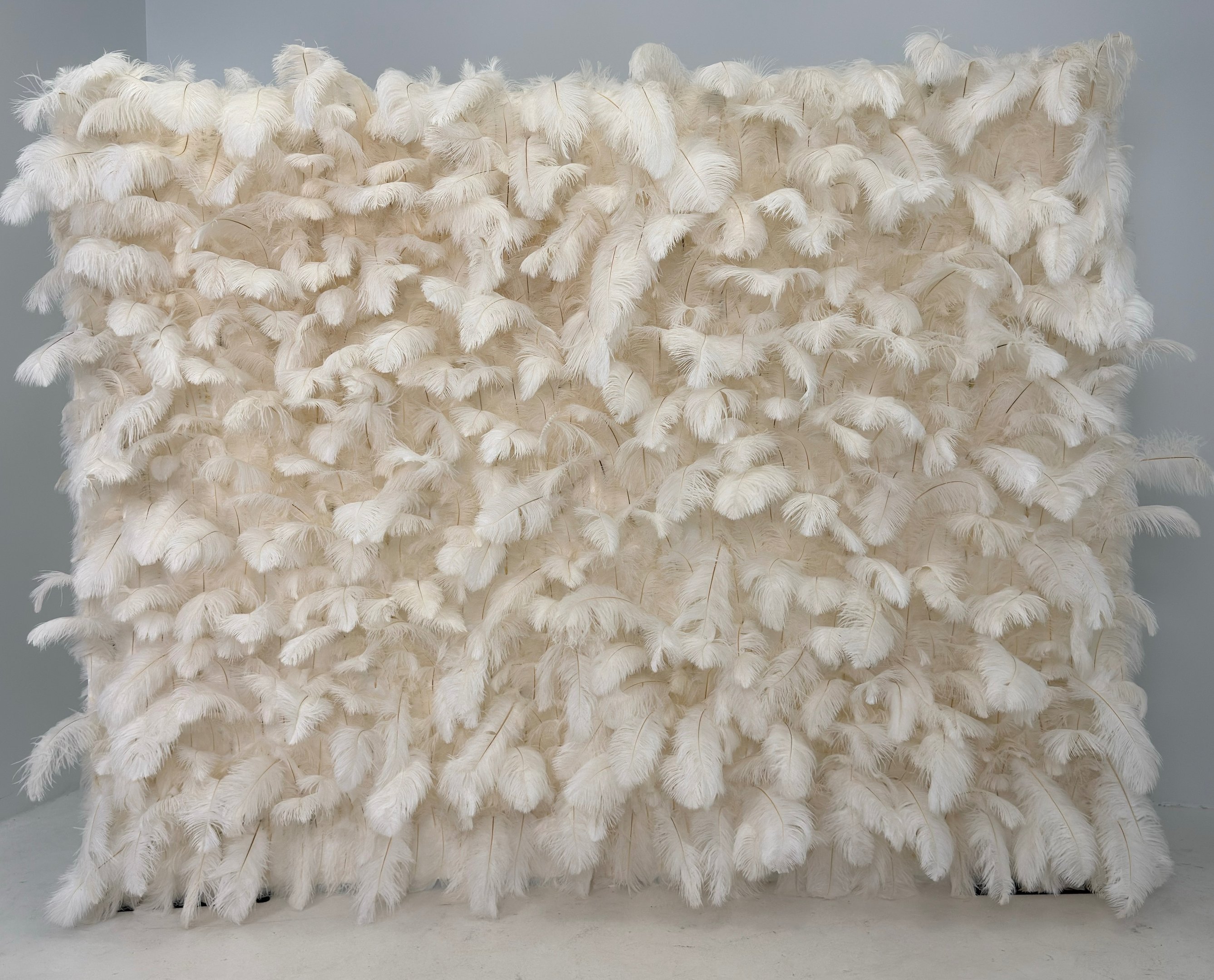 Plunksnų foto siena, plunksnų foto sienelė, foto siena gimtadieniui, isskirtine foto siena