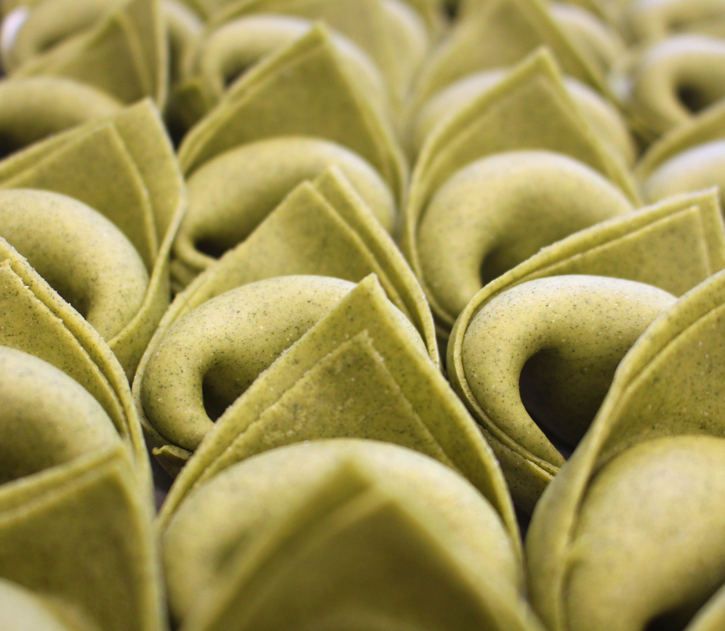 tortelloni verdi di ricotta