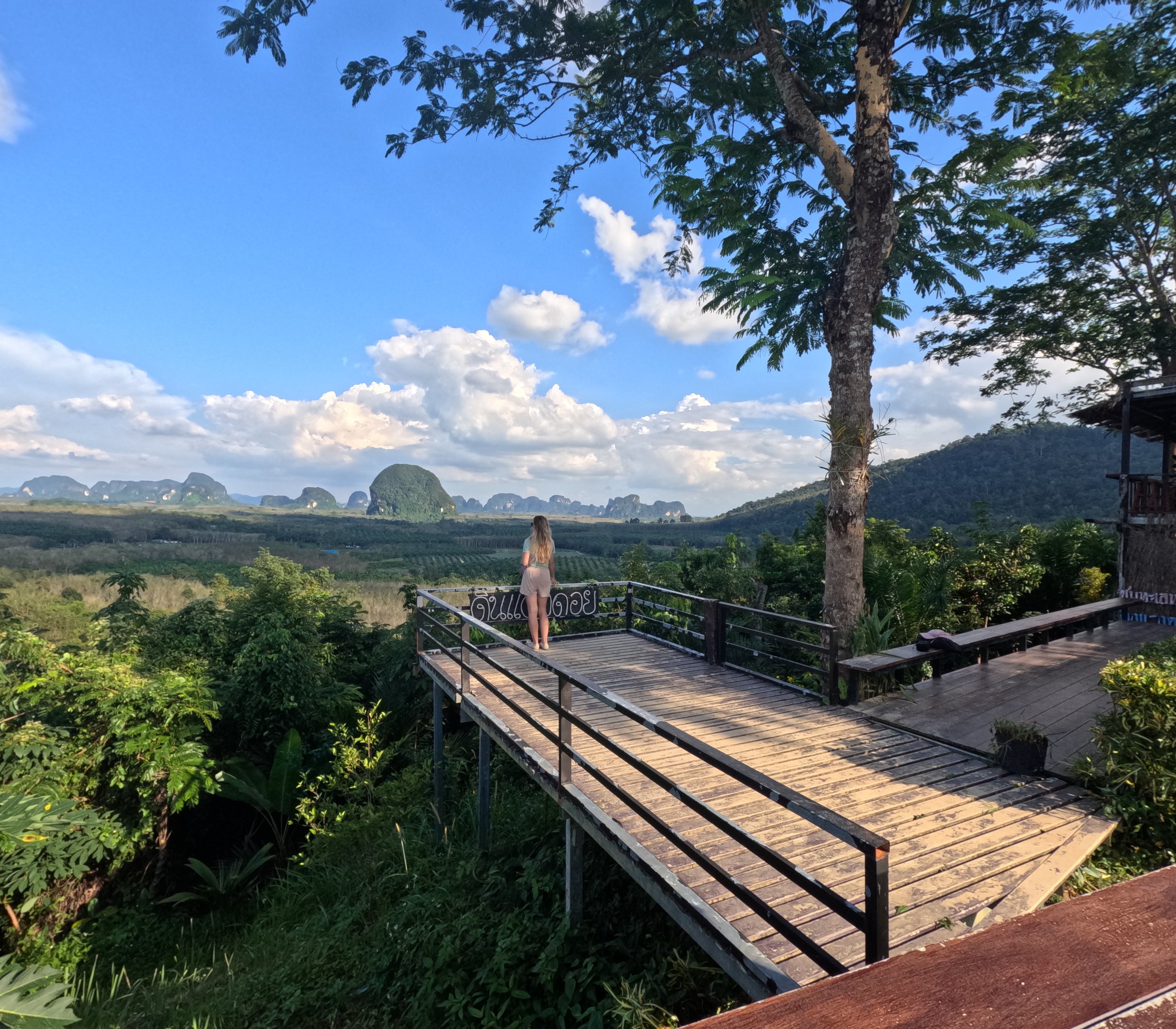 kobieta stoi na drewnianym moście i patrzy na góry