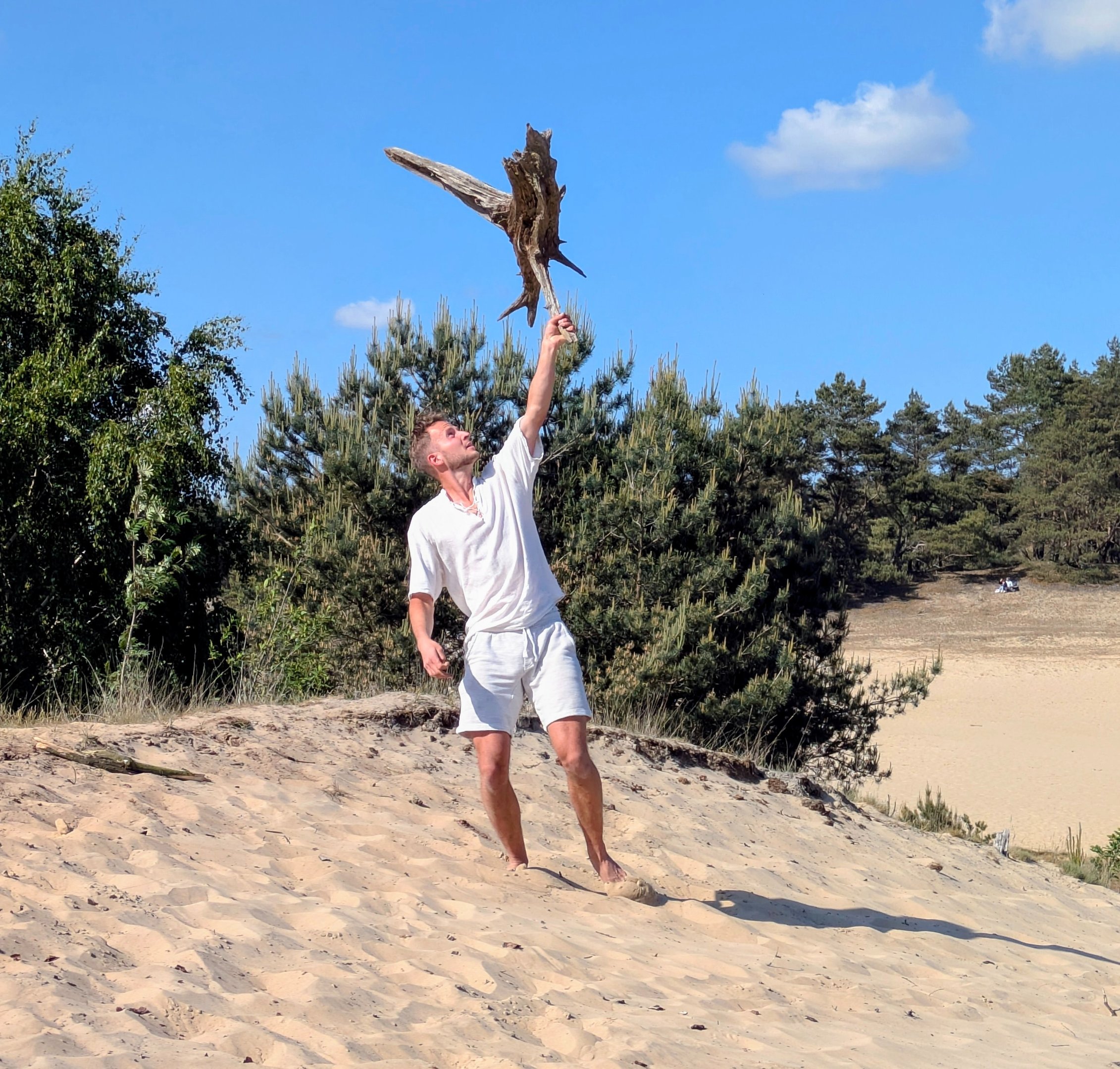 Over ons eigenaar van boomstamkracht