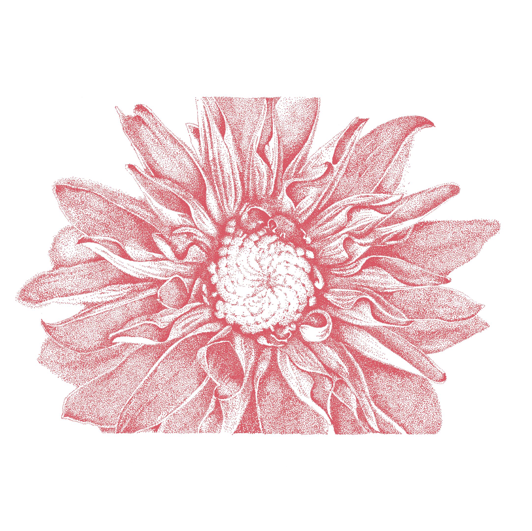 Fleurs de tournesol rouge dessinée en "DOT"