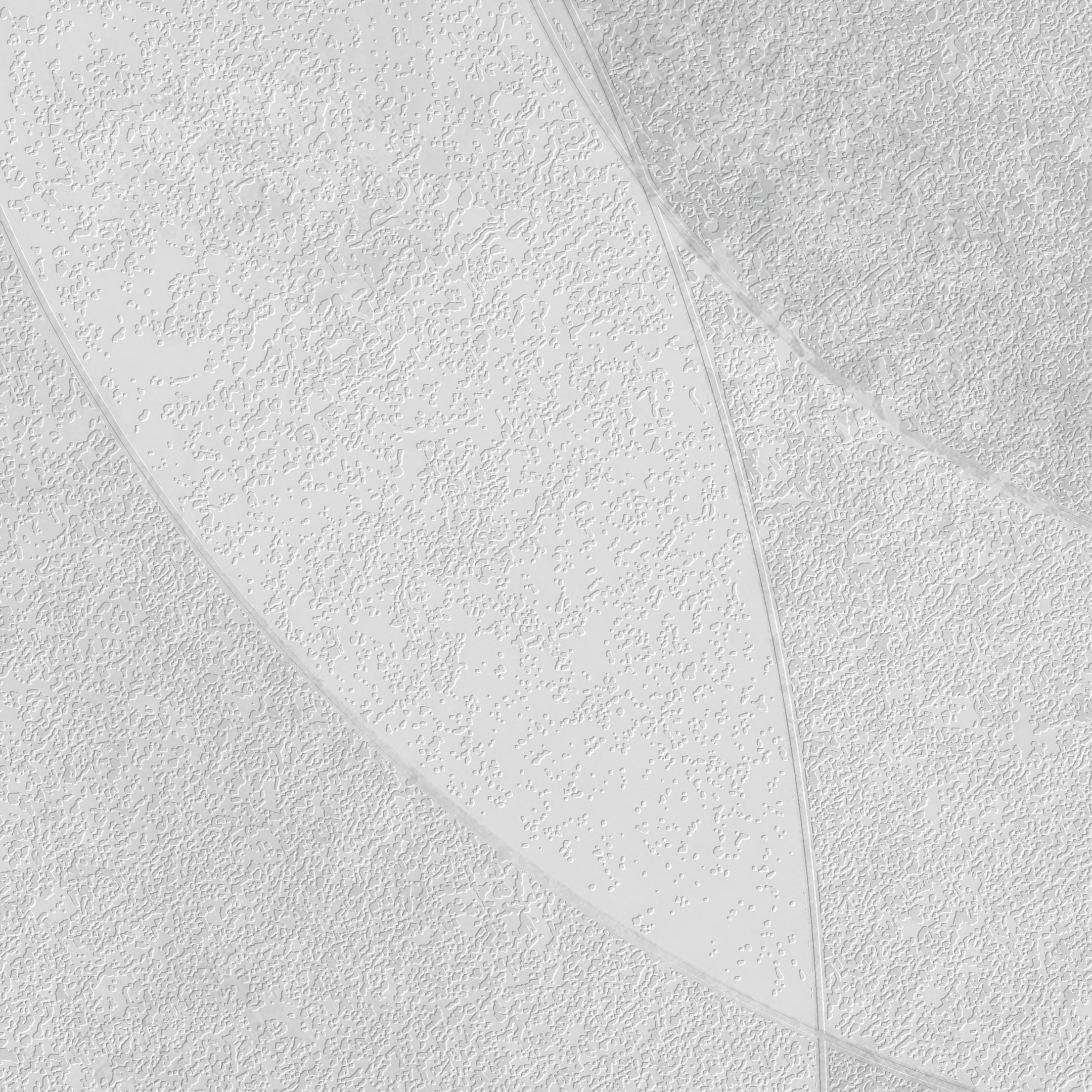 Close-up of Soft Shade Circles textured wall print highlighting details on Dimense Suede and Silver