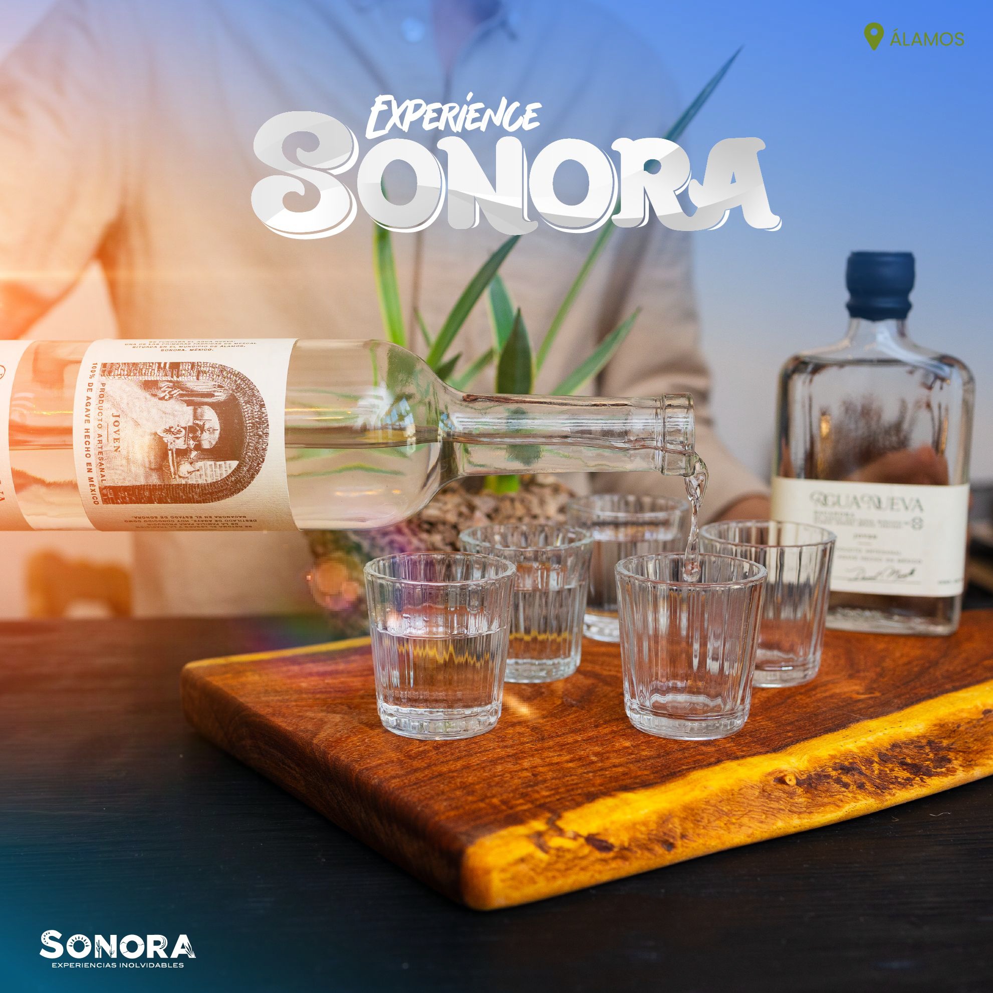 El Bacanora, la bebida emblemática de Sonora!.