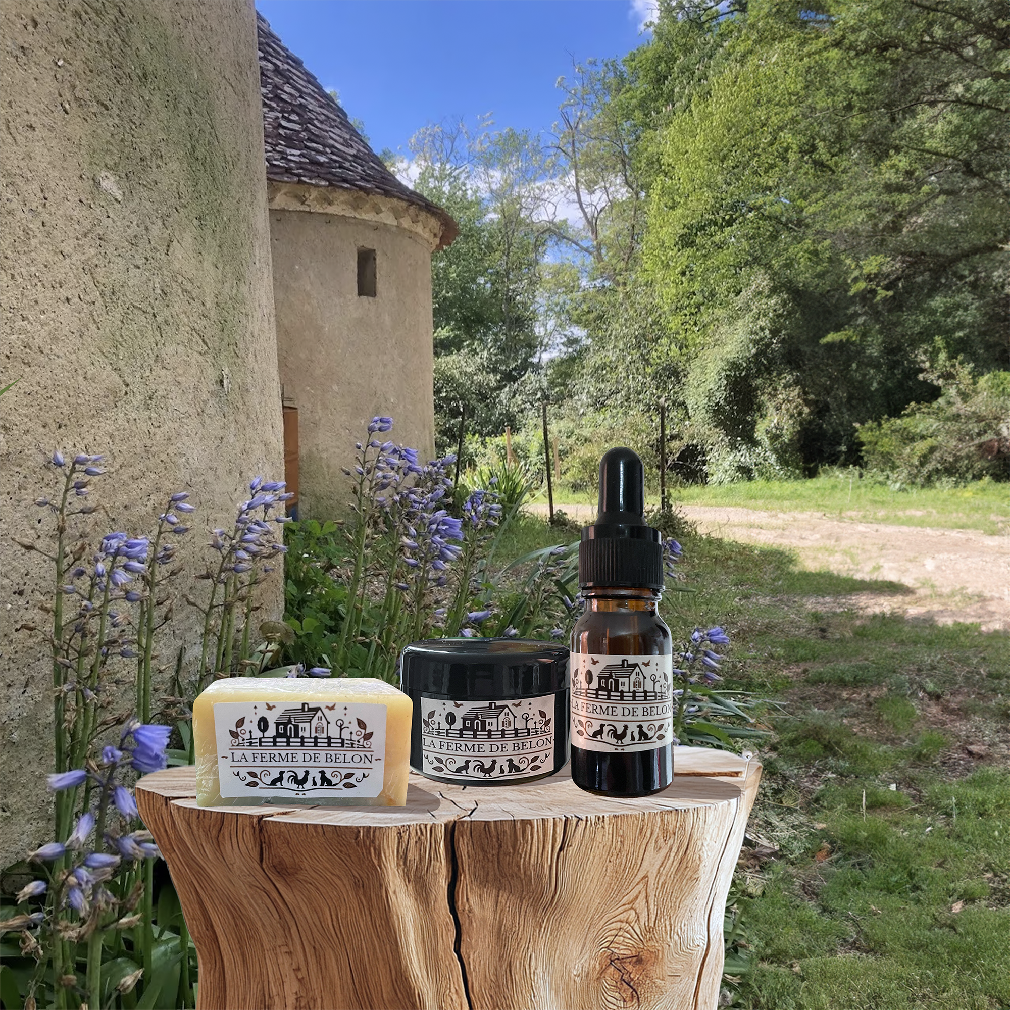 presentoir_full_carre_ferme de belon