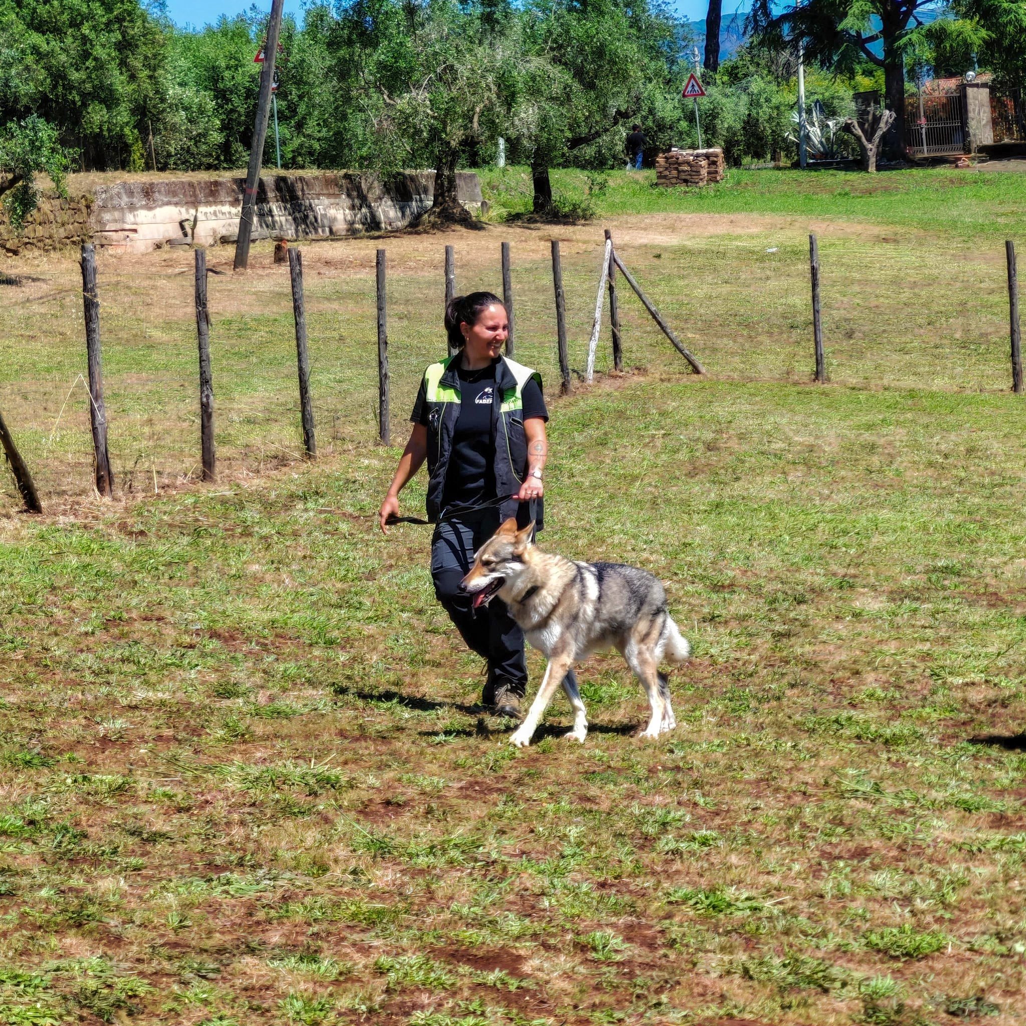 cane durante lezione di educazione base al guinzaglio