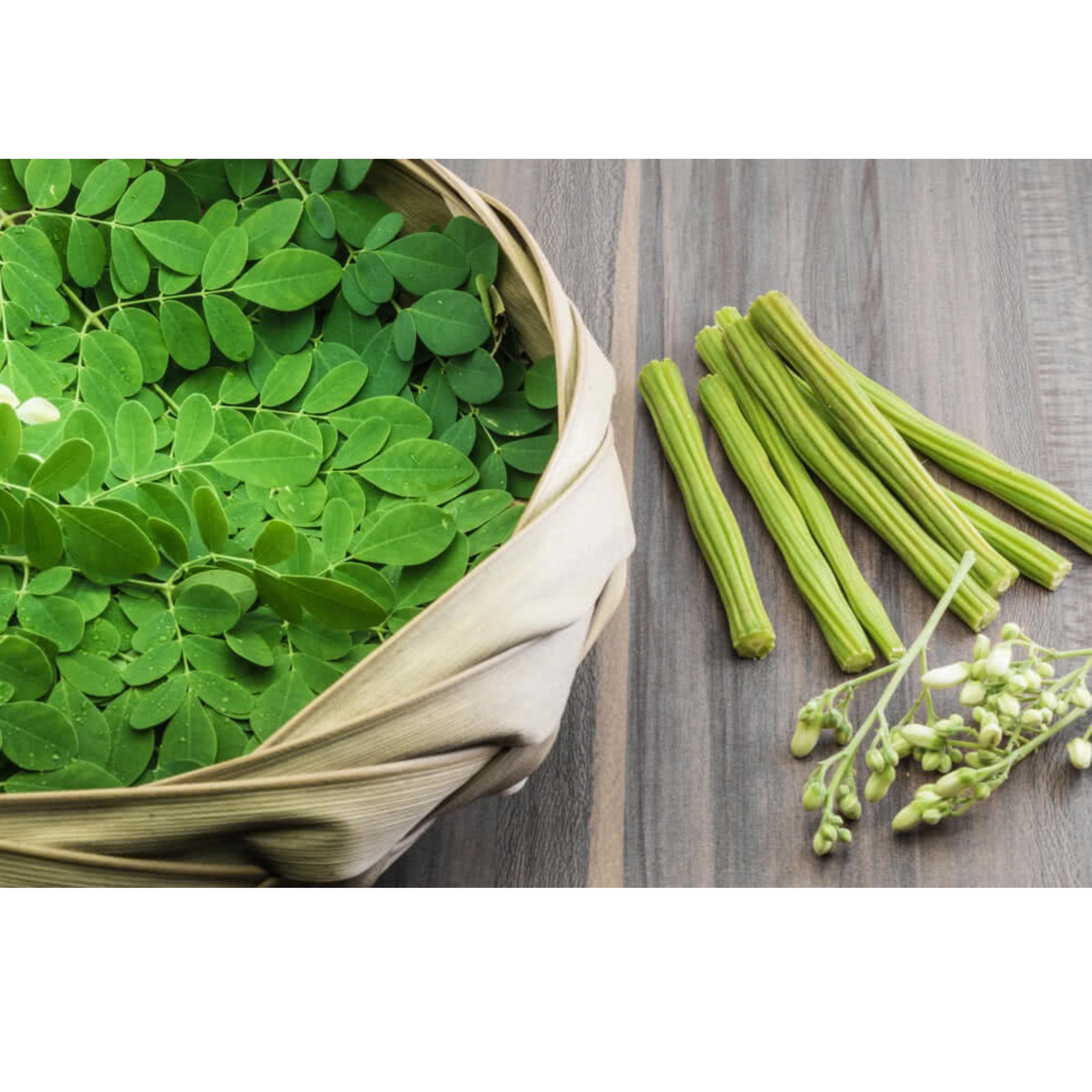 Moringa - WEARE OCEAN EXPORT