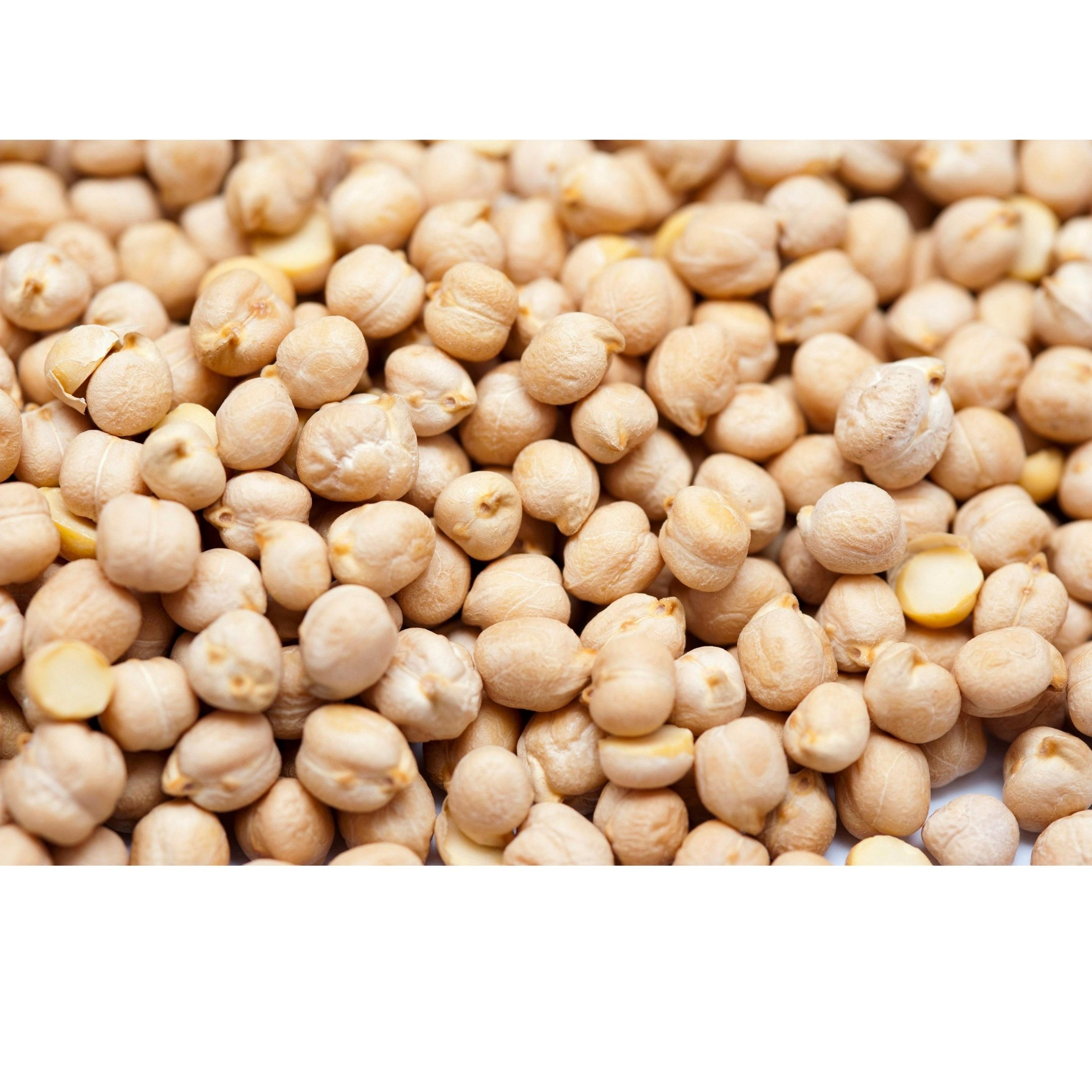 Channa - WEARE OCEAN EXPORT