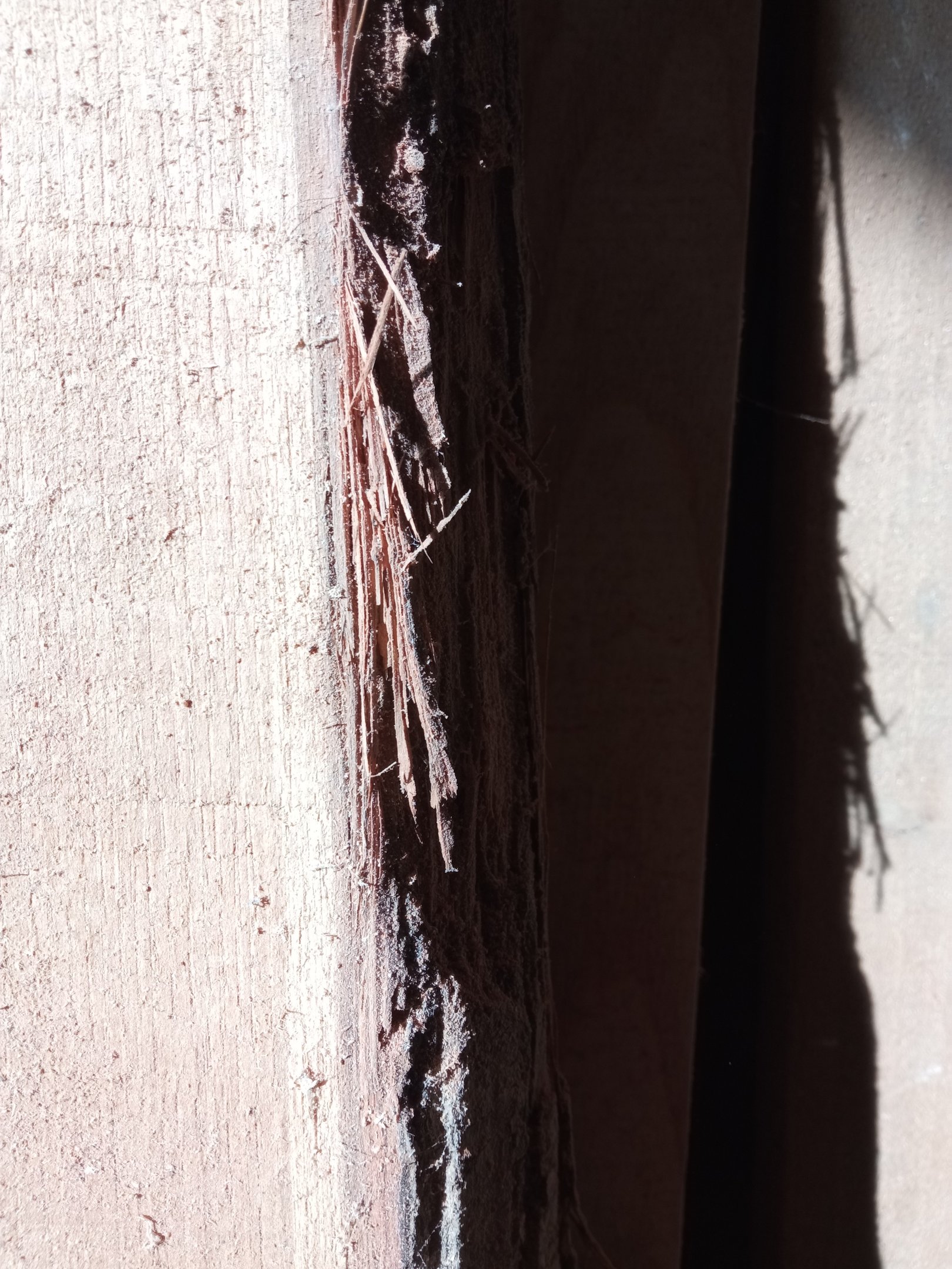 planche de bois brut