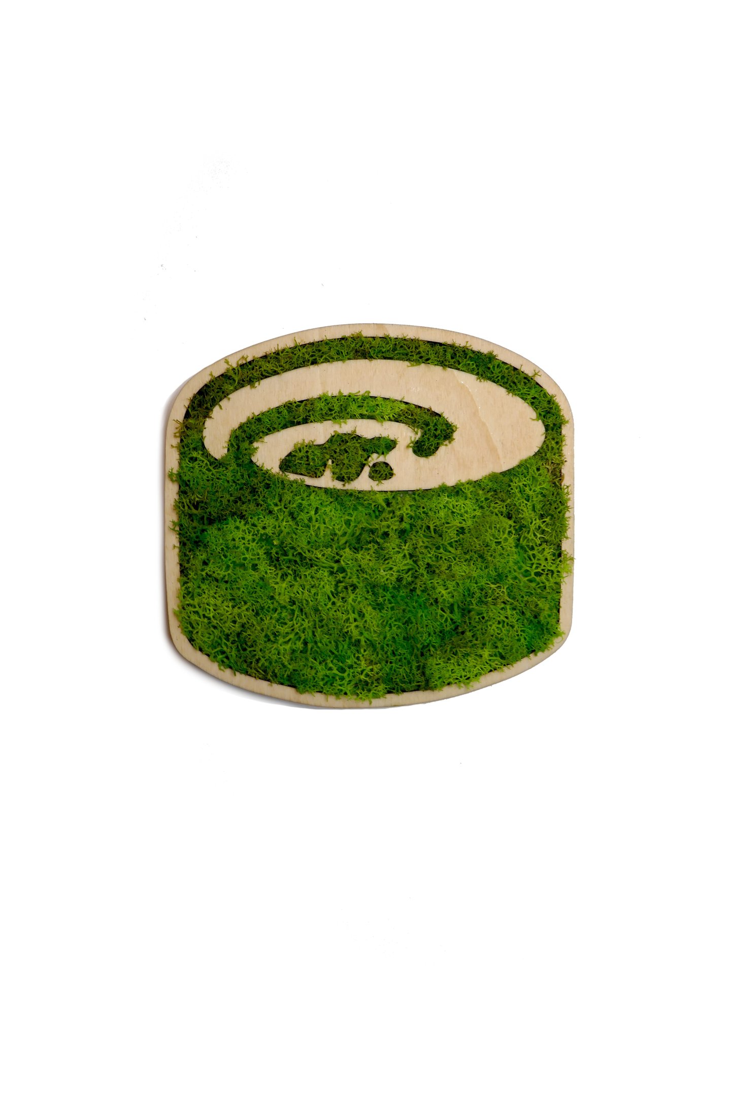 a green grass covered in mossel and mossel