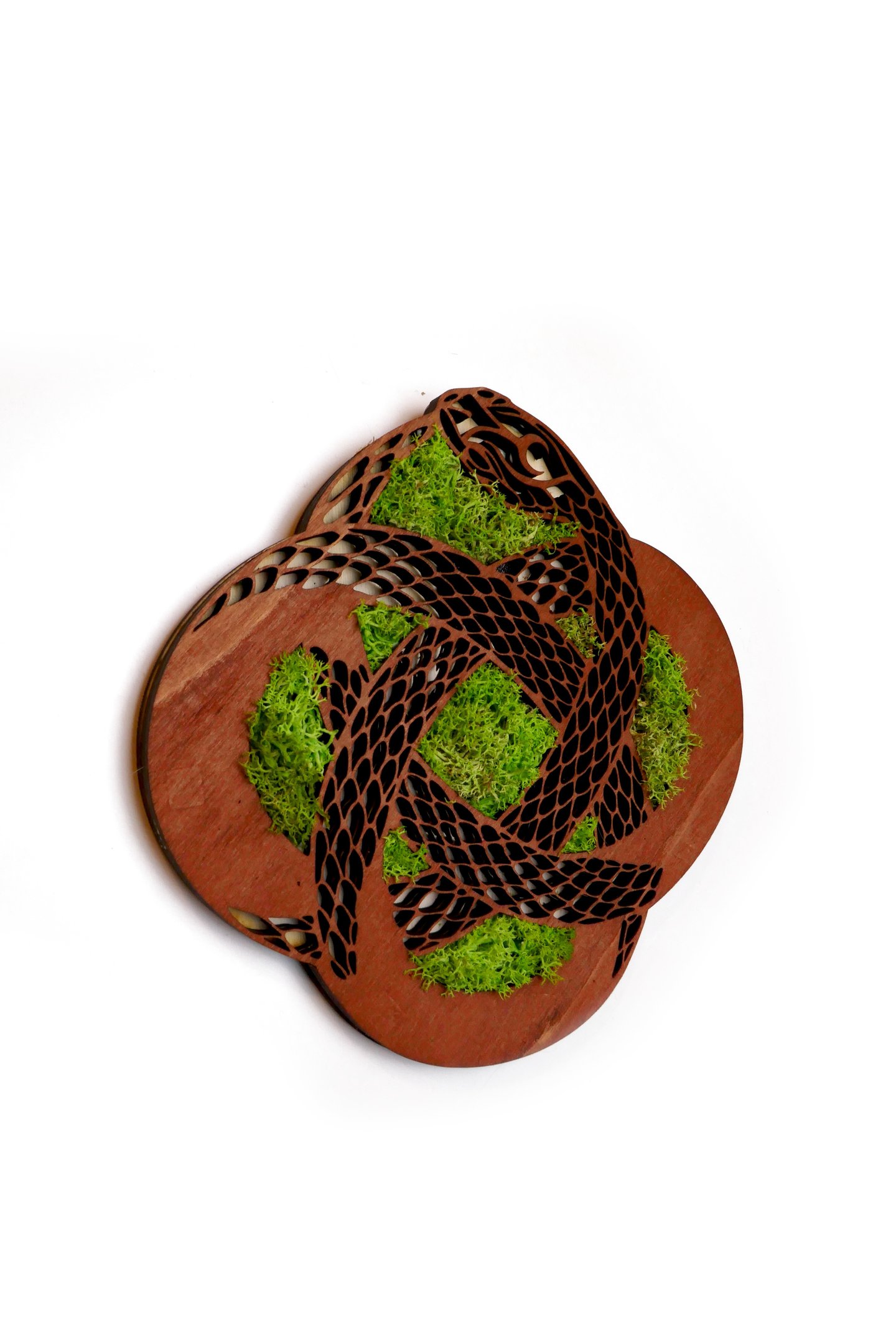 a pair of sandals with mossel and mossel