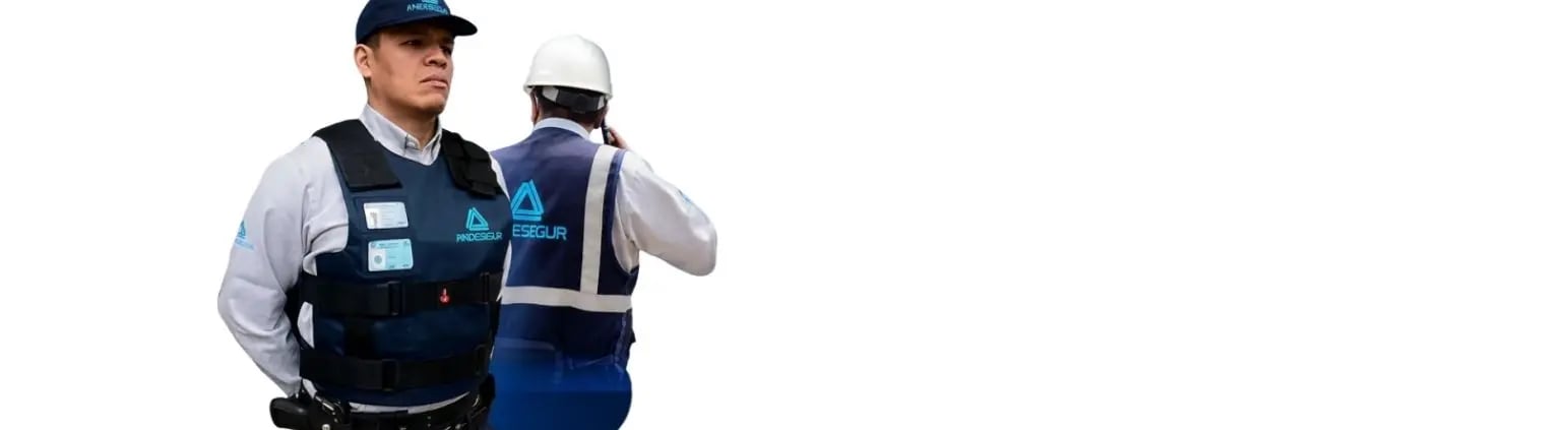 Empresas de Seguridad y Vigilancia - Andesegur