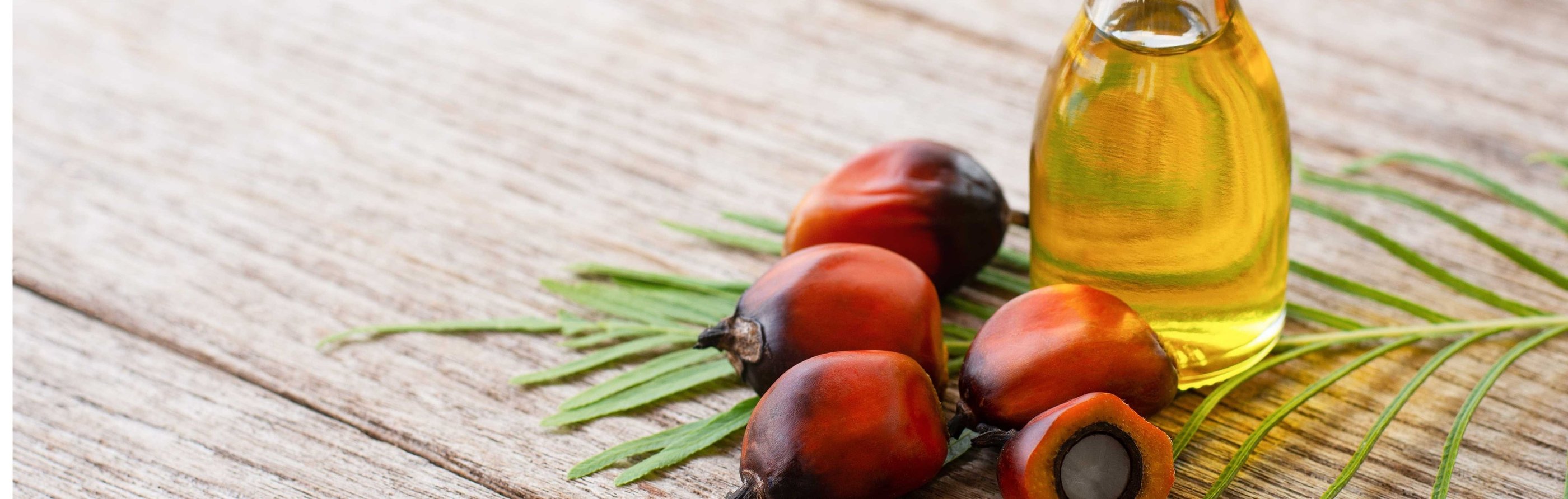 Fotografia de un conjunto frutos de palma secos y una jarra de aceite