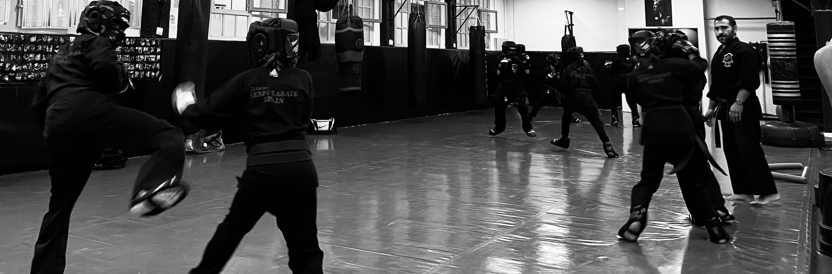 kenpo karate patada