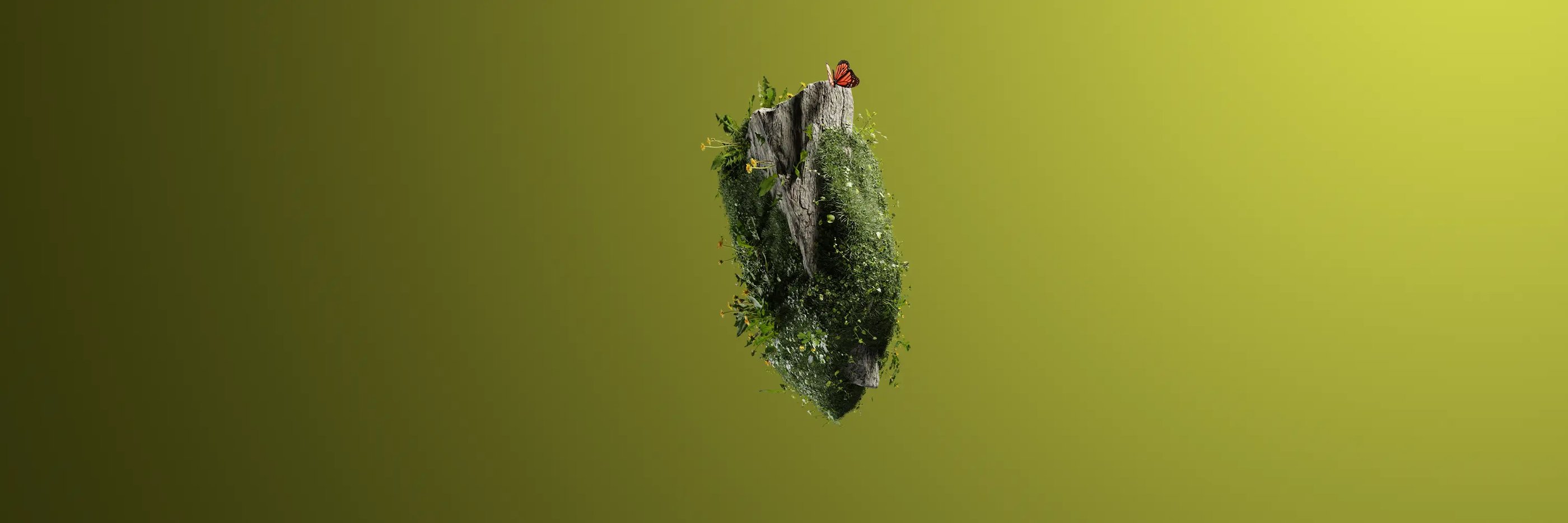 a butterfly sitting on top of a floating tree stump