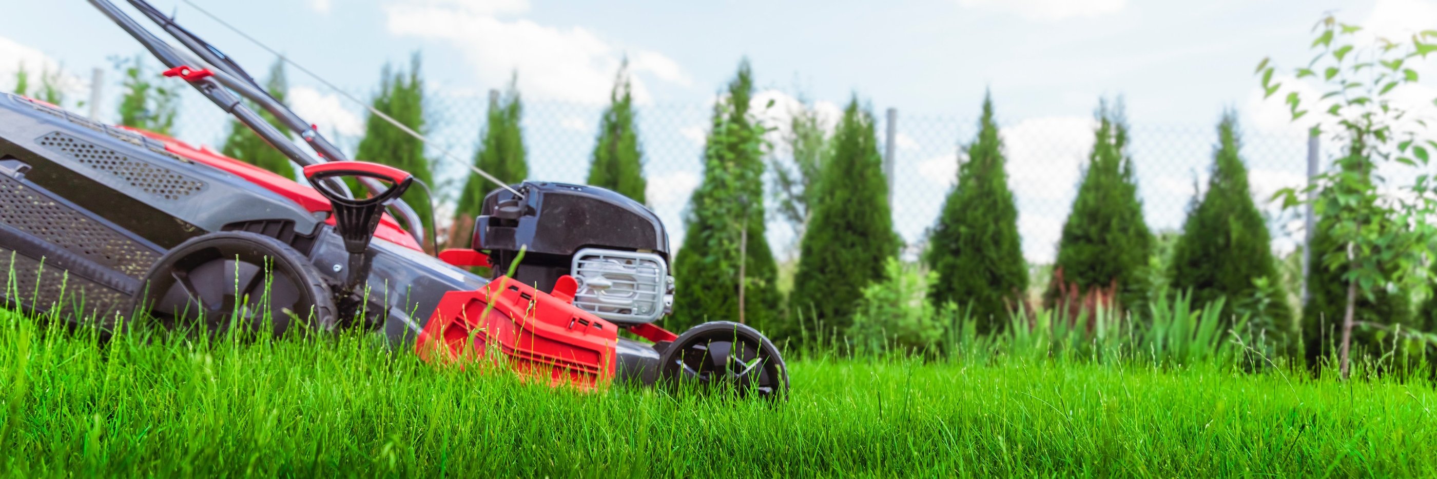 Prignitzer Gartenbewässerung - Rasenmäher