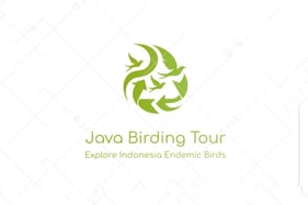 Java Birding Tour