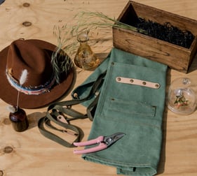 Houseplant pruning tools